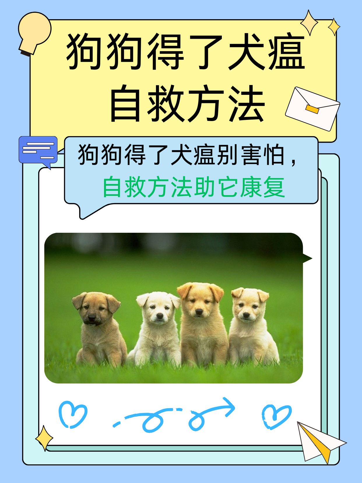 犬瘟热 办法图片