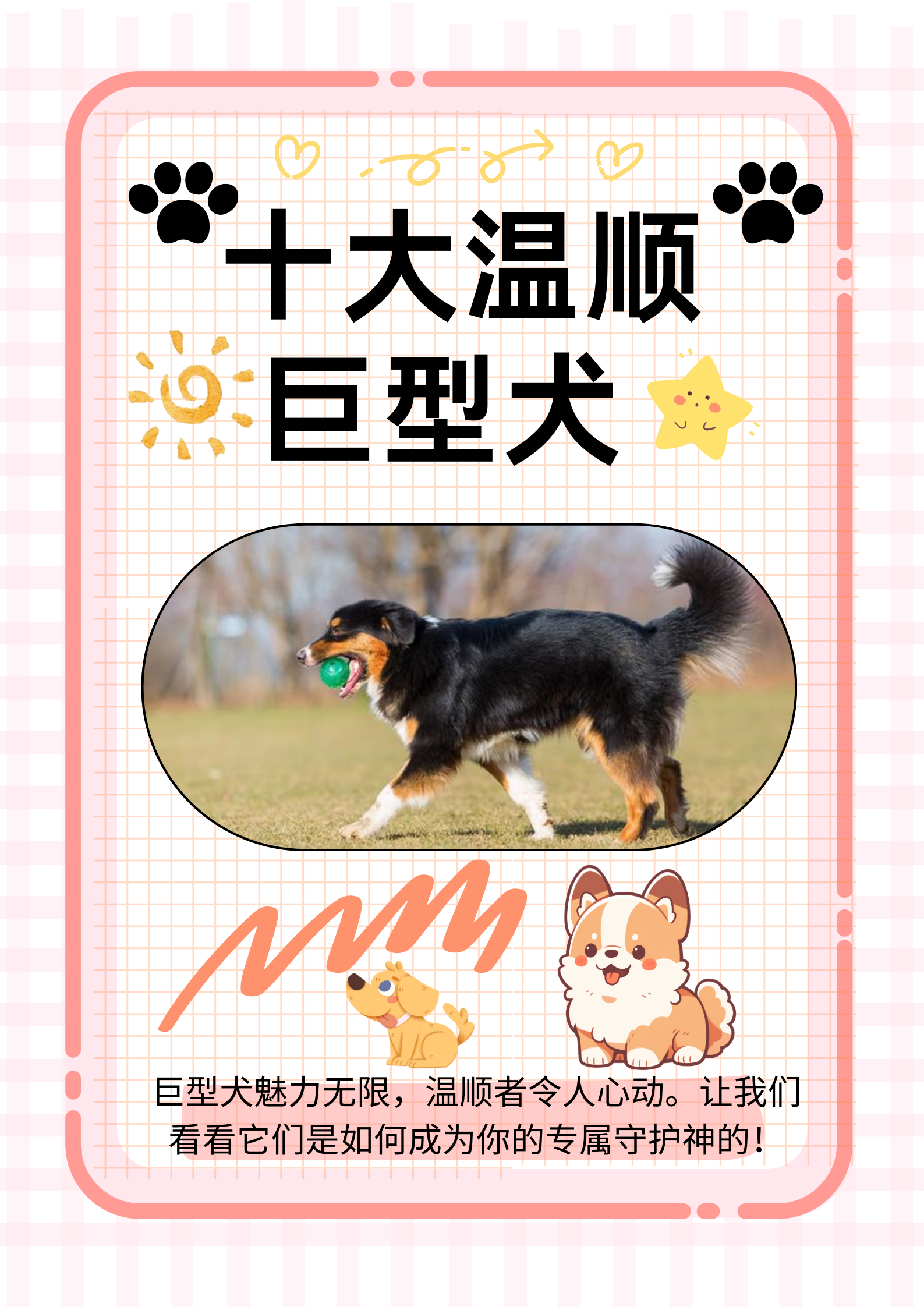 巨型犬图片大全和名字图片