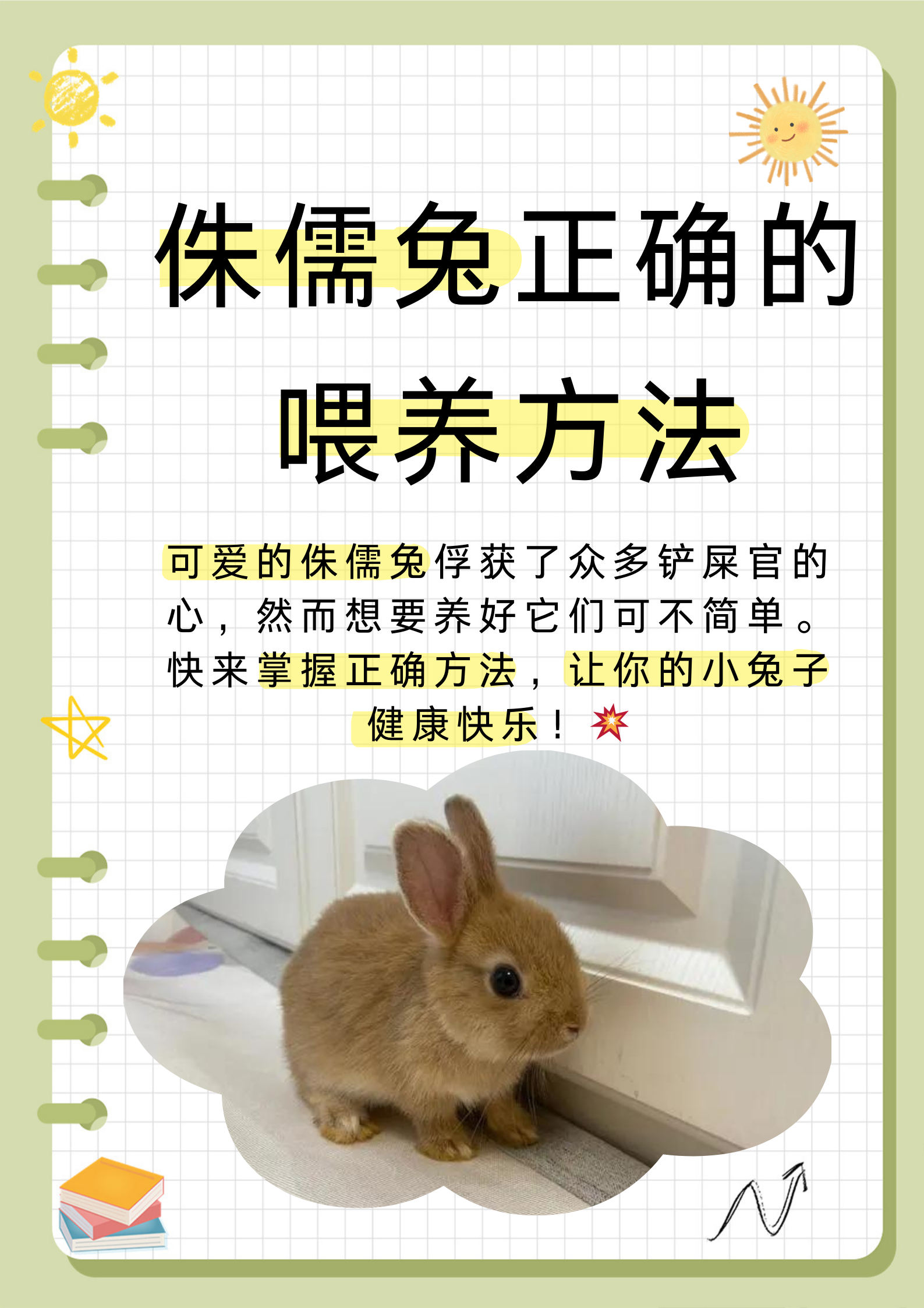 让我们一起给小兔子一个健康快乐的生活  一,合适的居住环境  "舒适