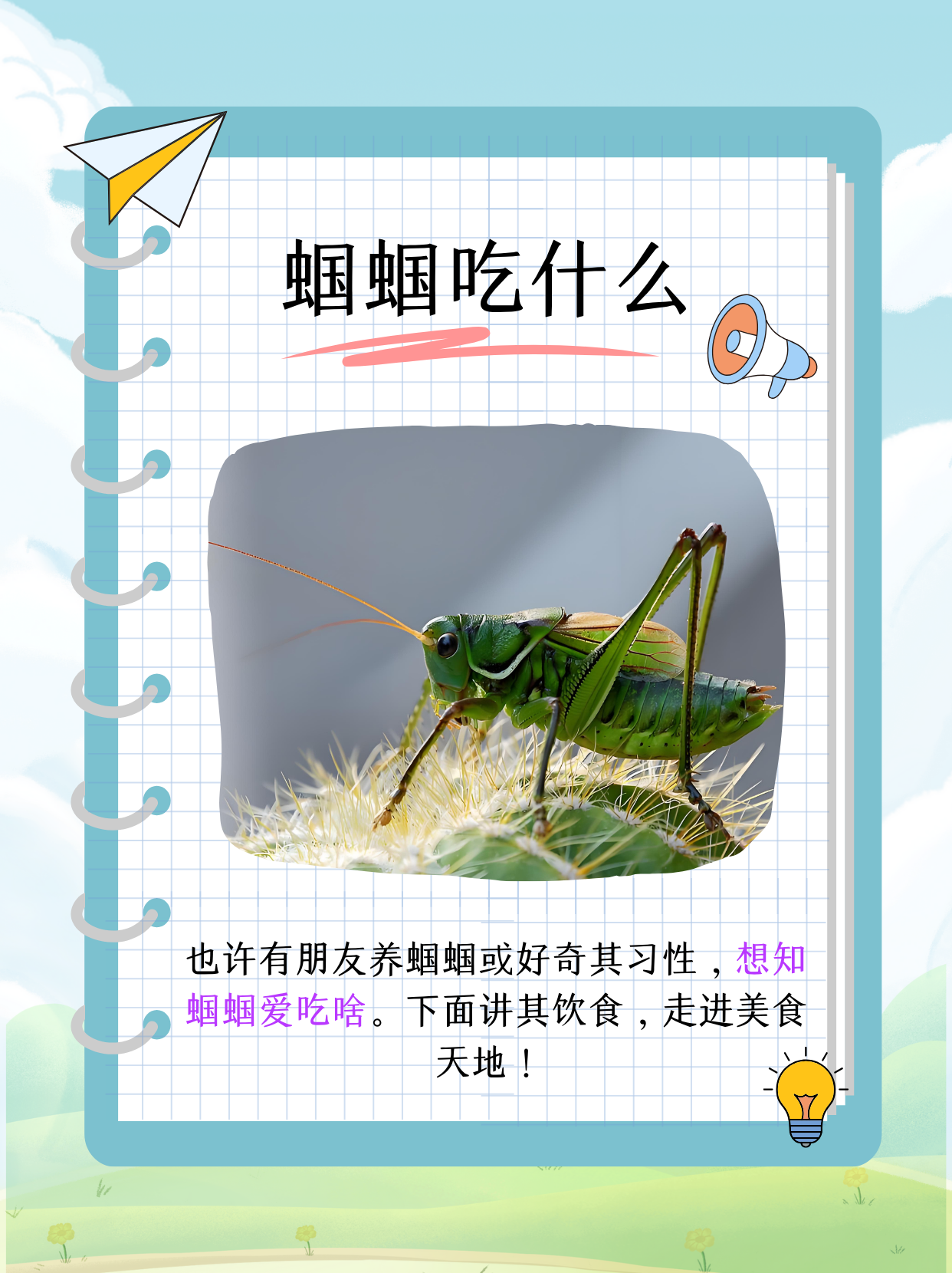那么就来讲讲蝈蝈的饮食喜好,一起探索蝈蝈的美食世界!
