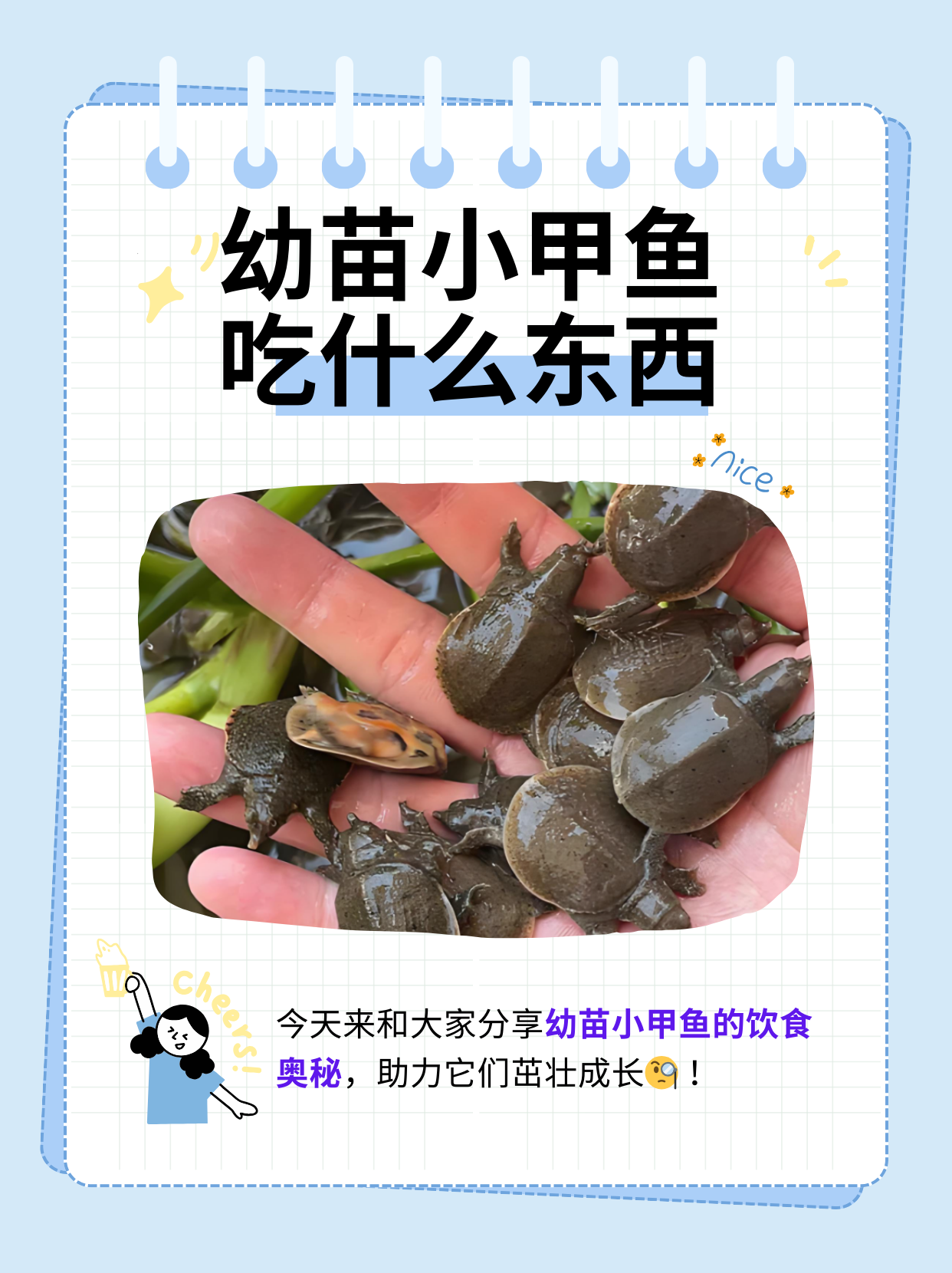 而幼苗小甲鱼的饮食,对于其健康成长至关重要.