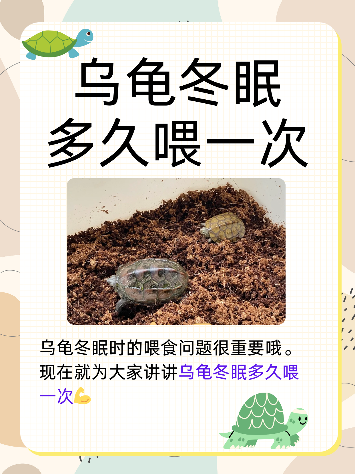 海龟为什么会流泪