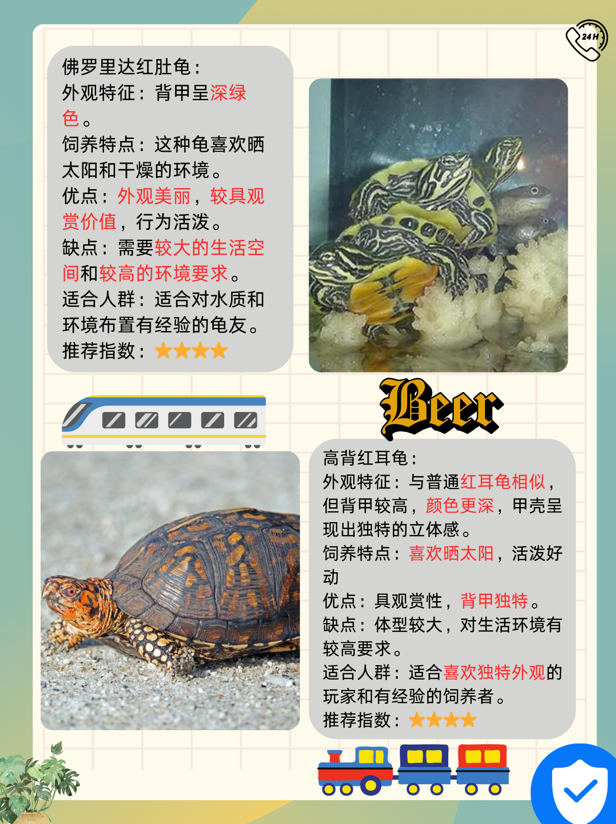 巴西龟,又名红耳龟,是全球范围内最受欢迎的宠物龟