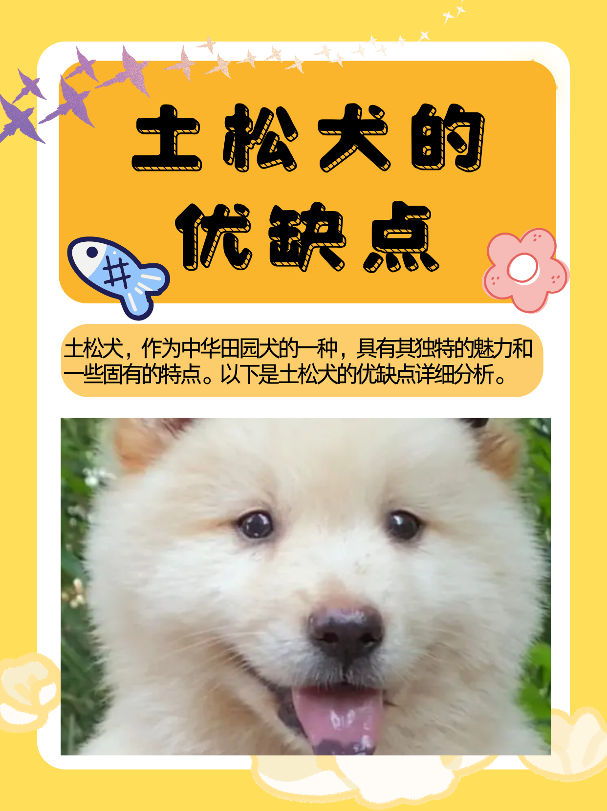 狗为什么吃土和沙子为什么在线