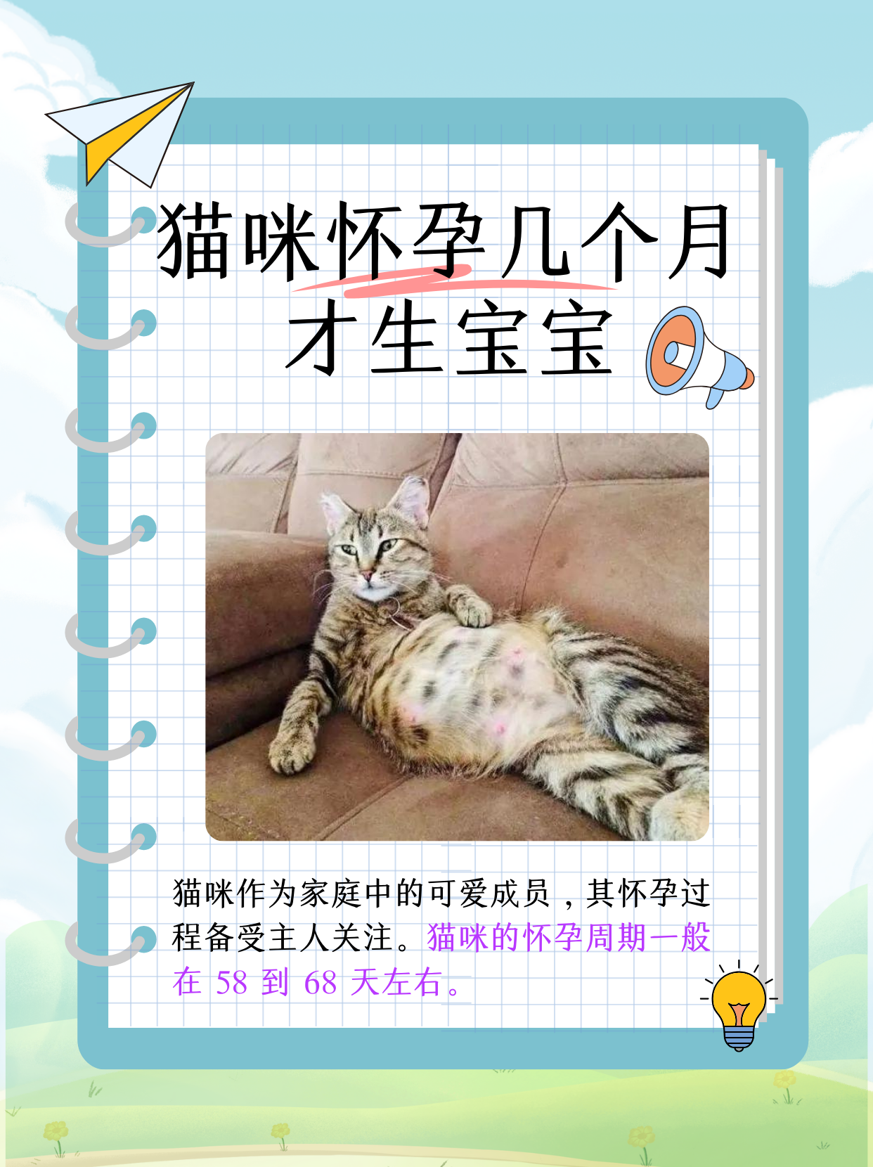 猫咪怀孕几个月才生宝宝  猫咪作为许多家庭的可爱伙伴