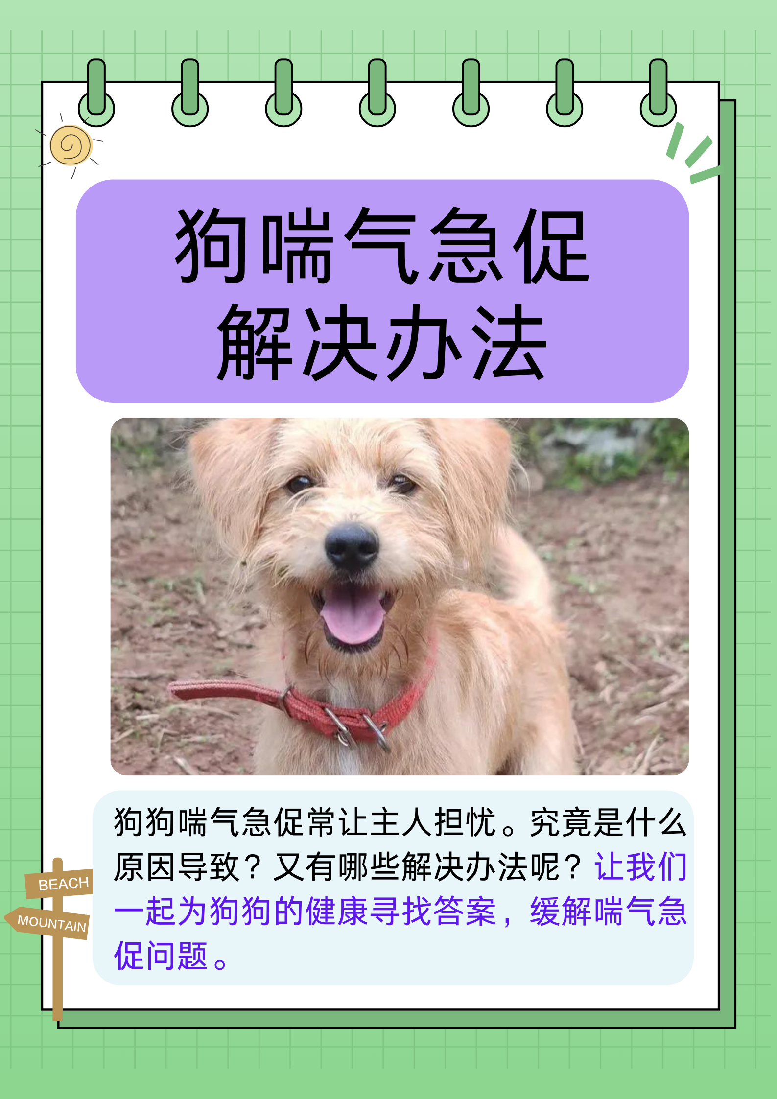狗为什么总伸着舌头喘气