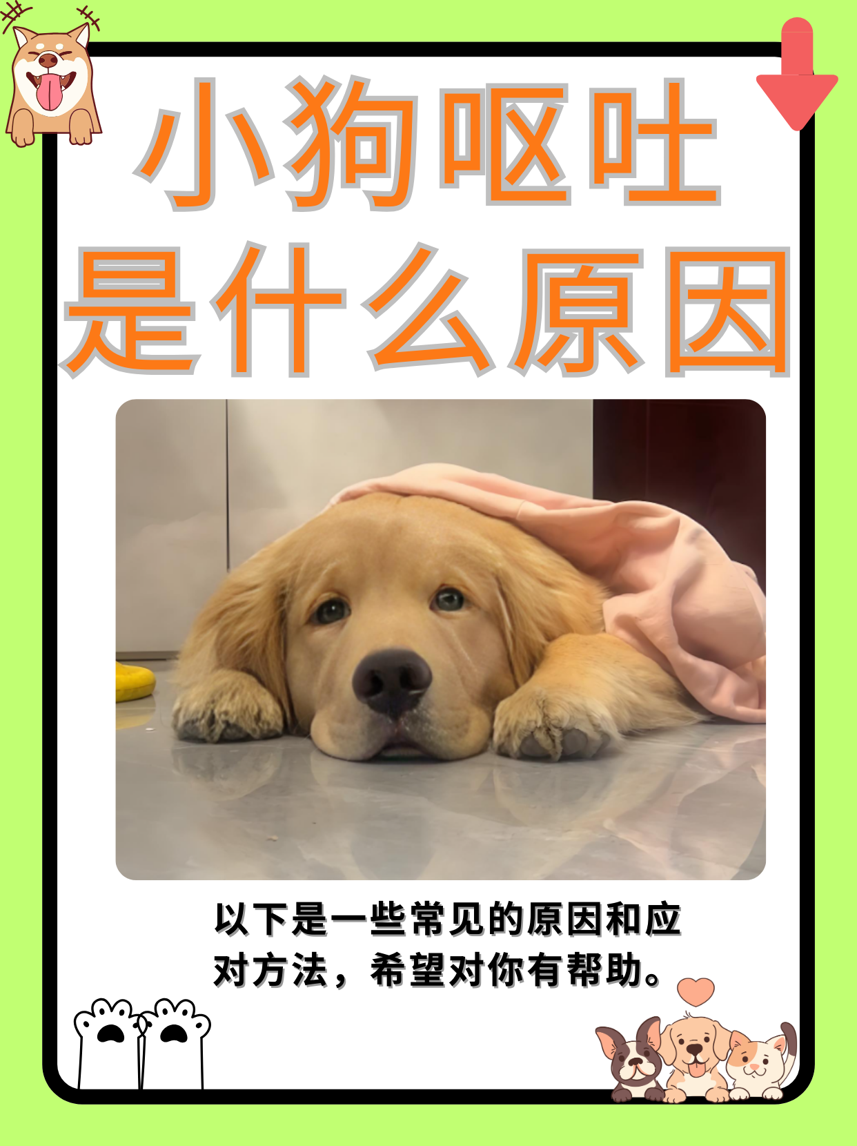 为什么会突然呕吐反胃为什么在线 为什么会突然呕吐反胃为什么在线