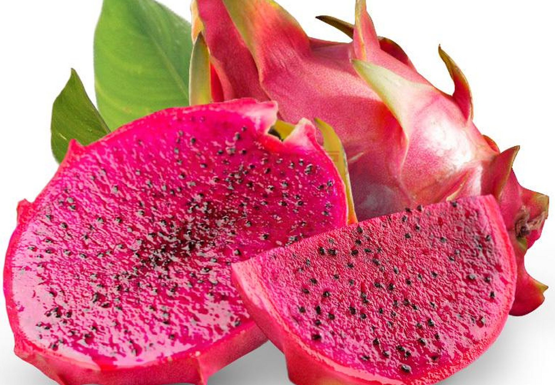 火龙果与仙人掌果有什么区别,为何火龙果口感更好?