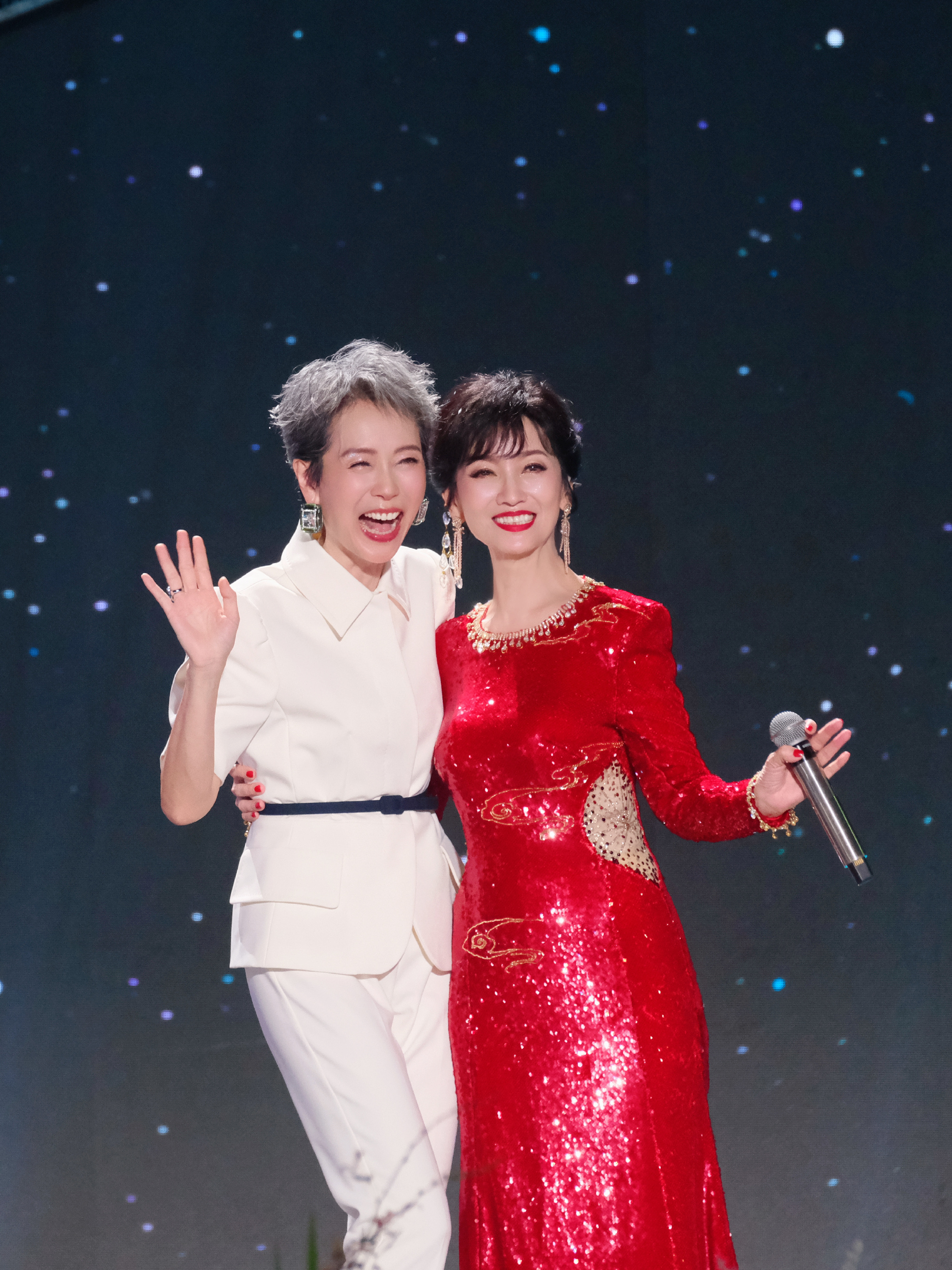 永远的官人与娘子～赵雅芝与叶童:一次邂逅缔造旷世奇恋,芝童道合成