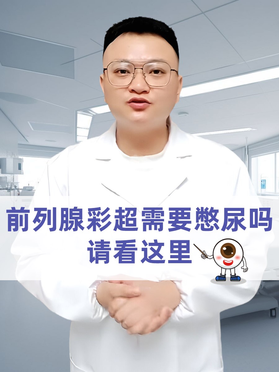 前列腺位置高清图真人图片