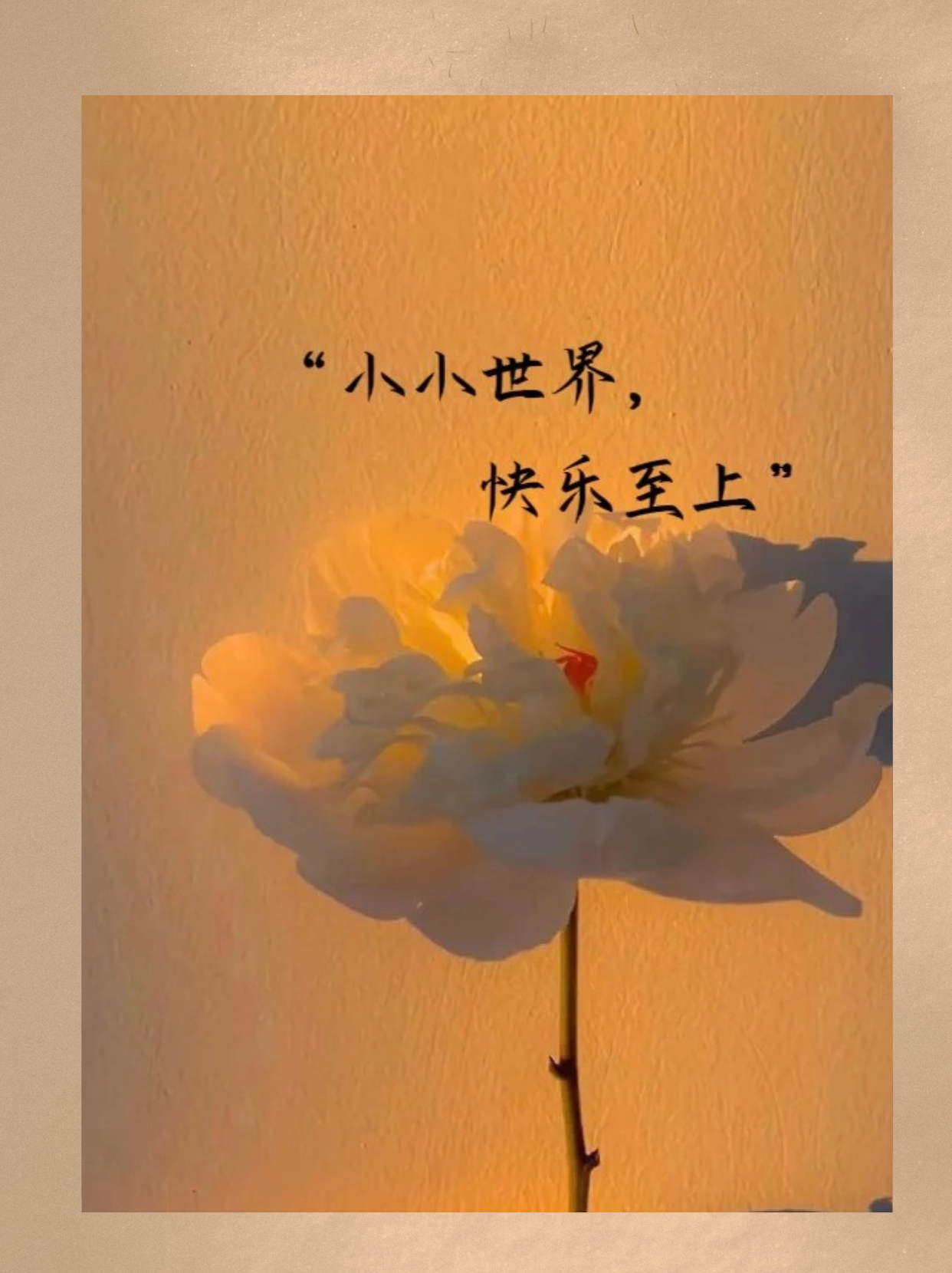 发个开心的朋友圈  "生活中的小确幸,总是能让人心情愉悦.