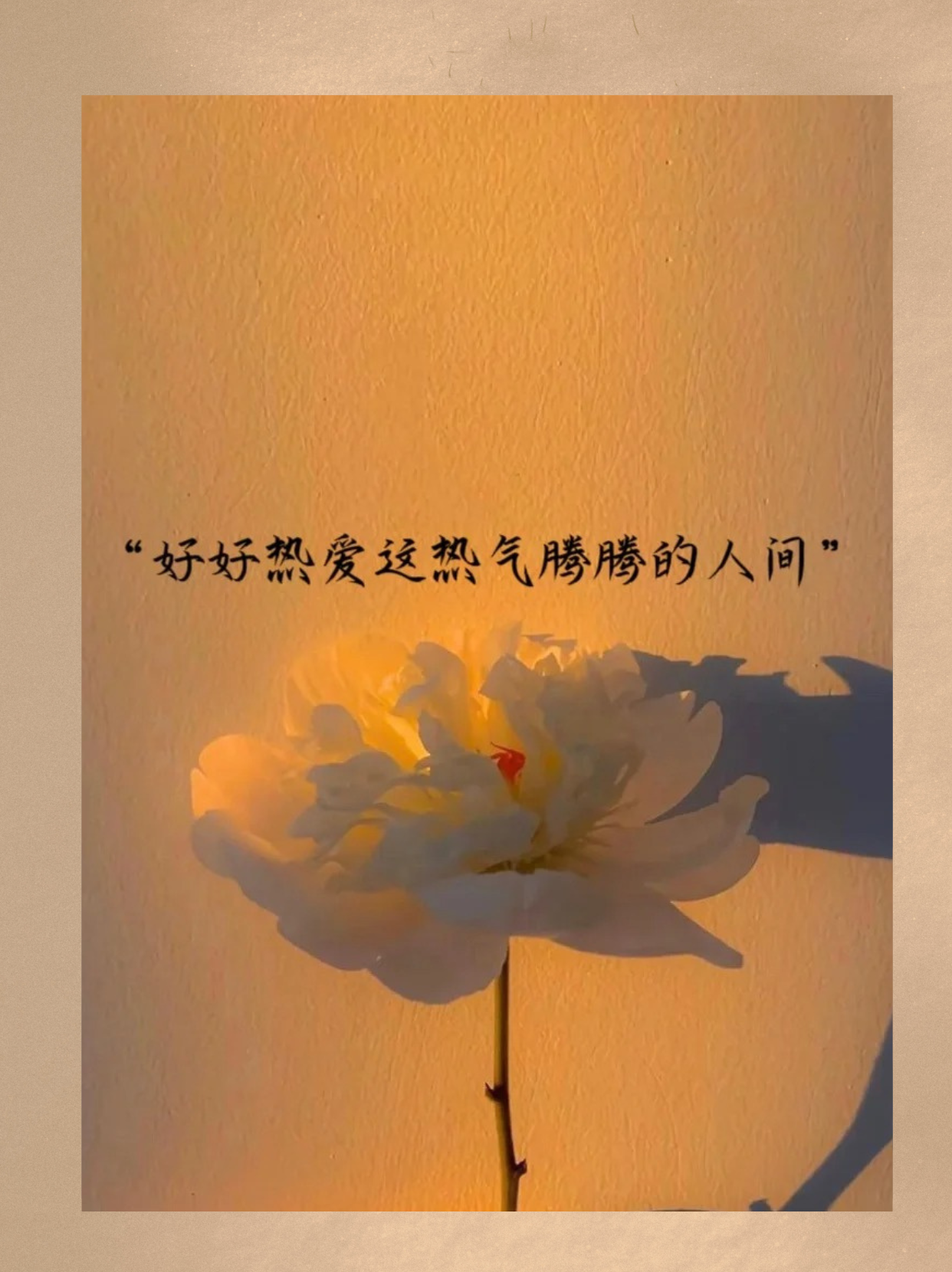 发个开心的朋友圈  "生活中的小确幸,总是能让人心情愉悦.