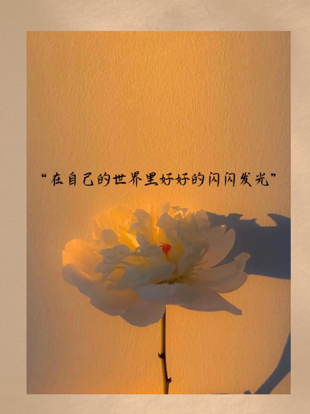 发个开心的朋友圈  "生活中的小确幸,总是能让人心情愉悦.