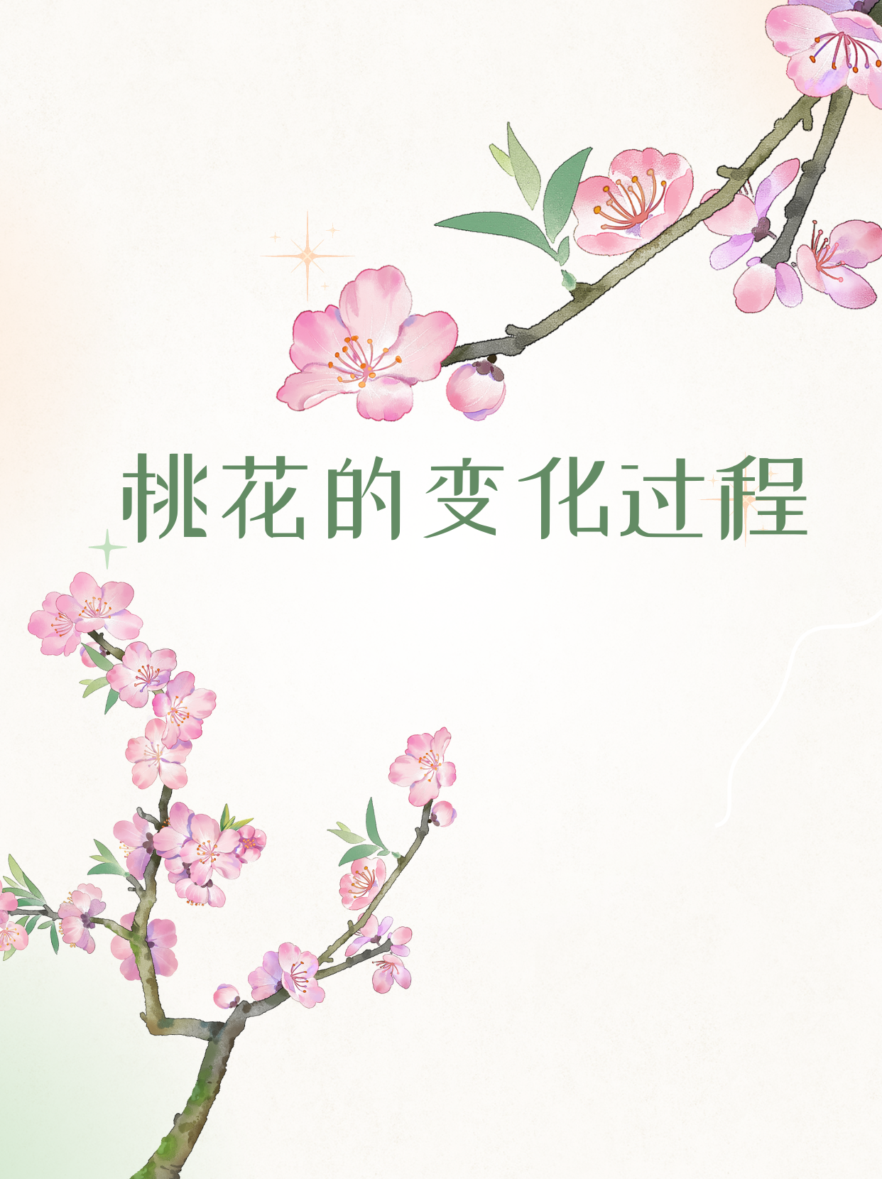 桃花的变化过程  那片充满生机的角落,桃树宛如一位婀娜的仙子,静静