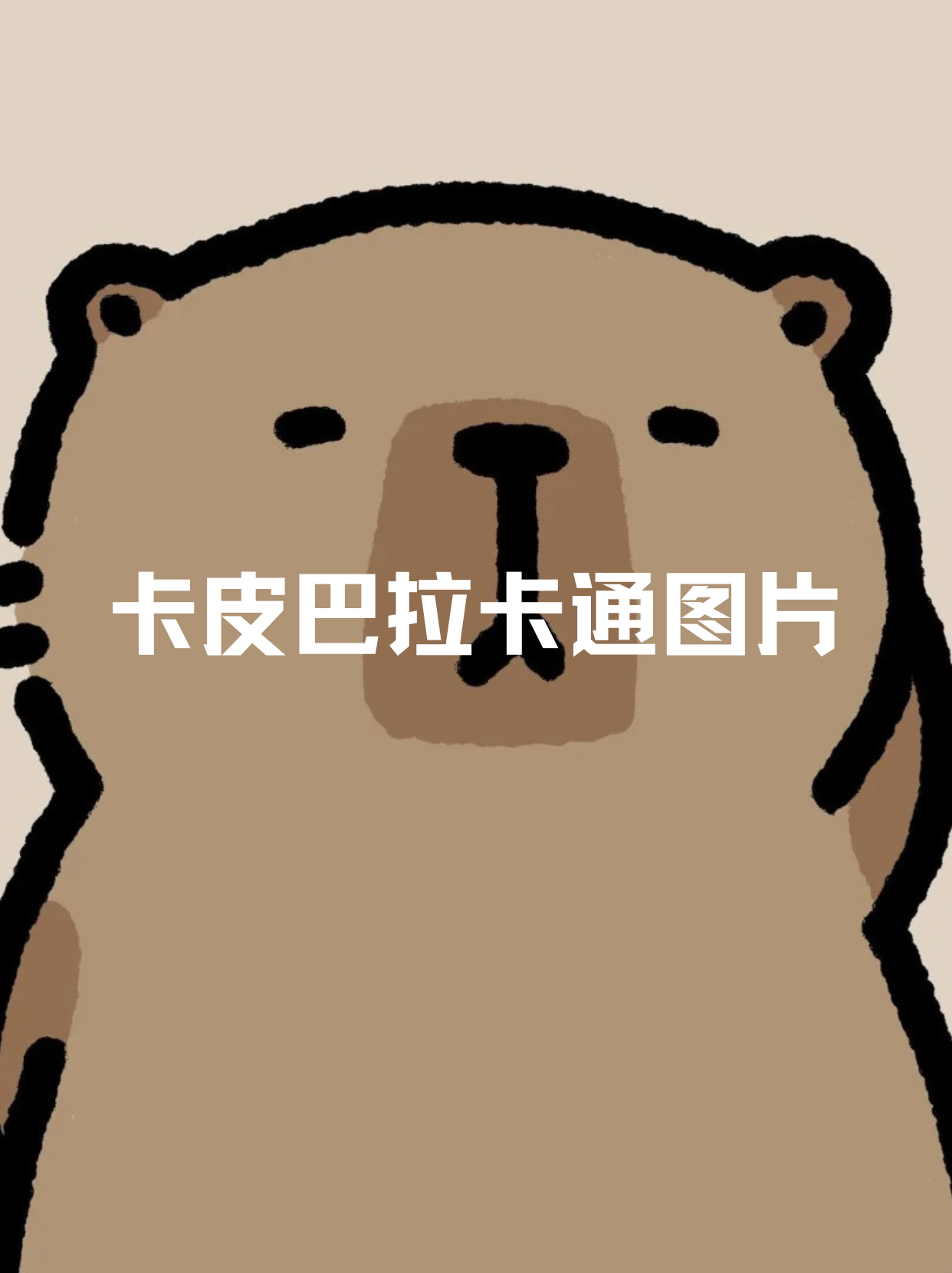 它们那萌萌的外表,圆滚滚的身体,还有可爱的小表情,简直让人无法抗拒.