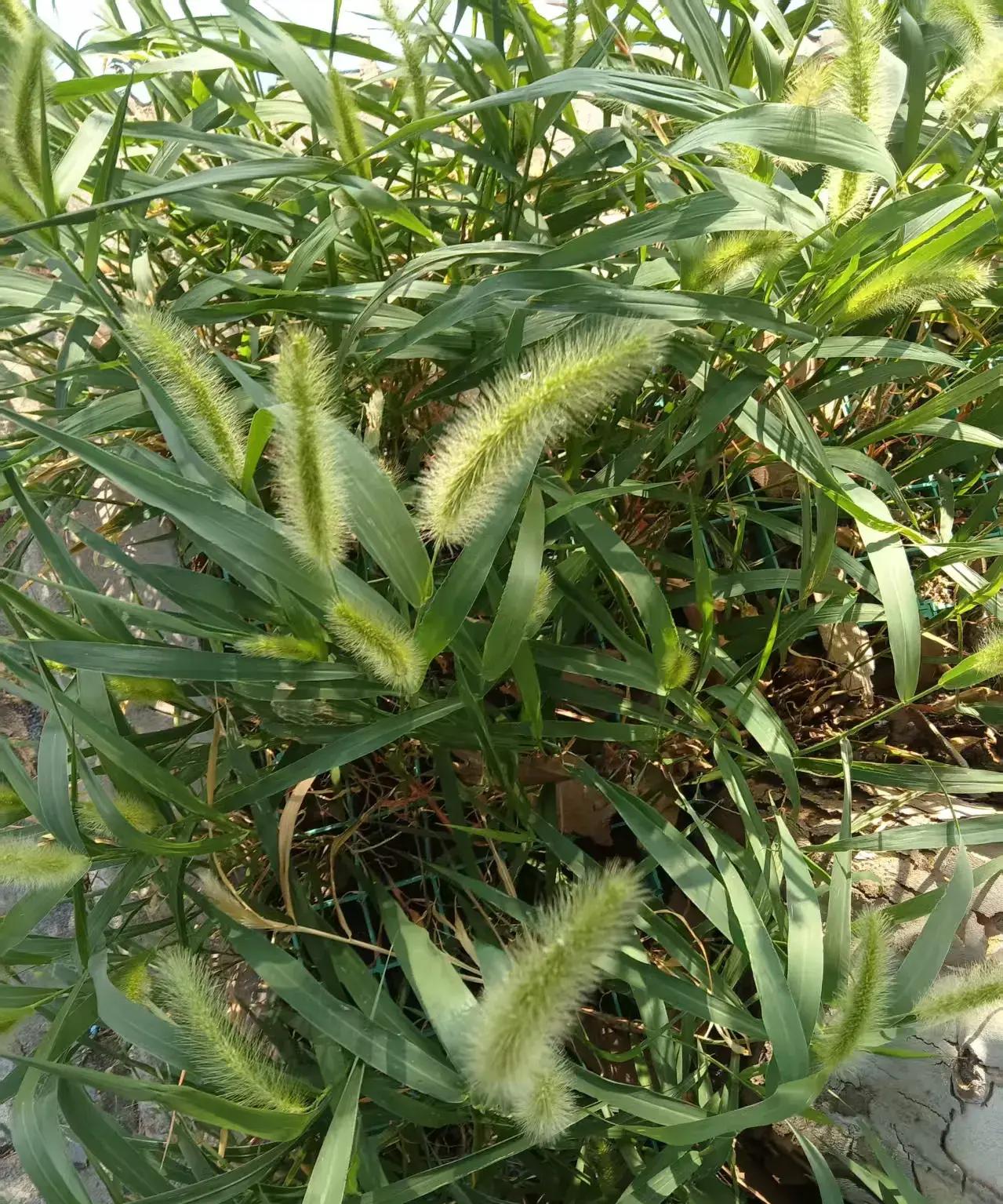 大家细致观察过没有,凡是在农村能存几十万元及以上