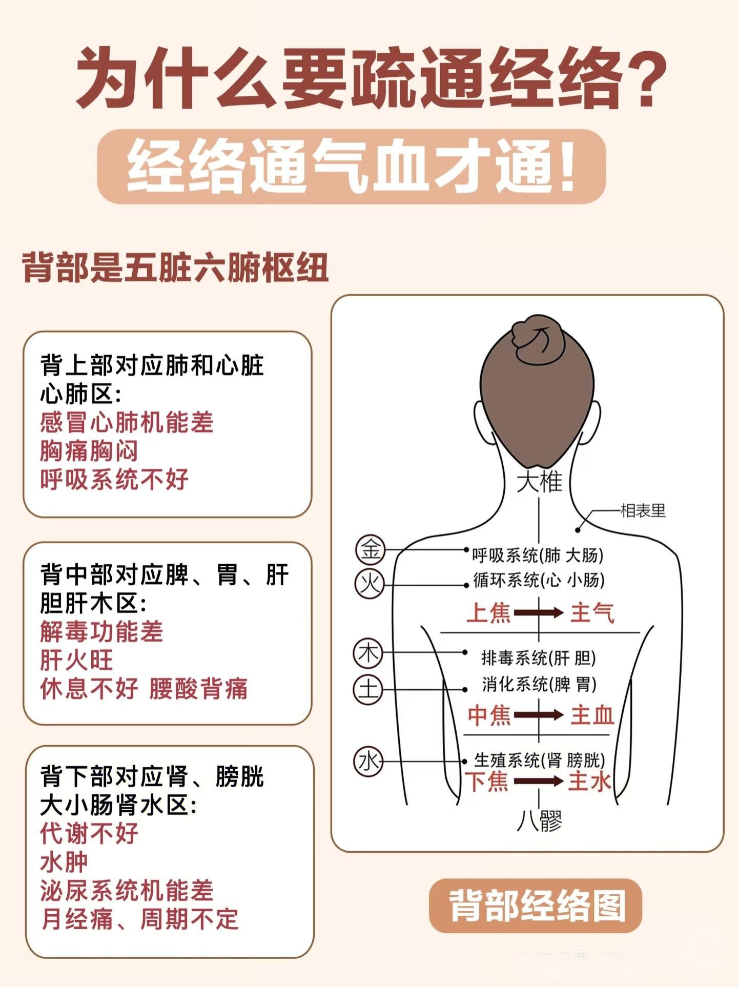 背部的疏通为什么要疏通背部你知道吗背部疏通 经络疏通 养生