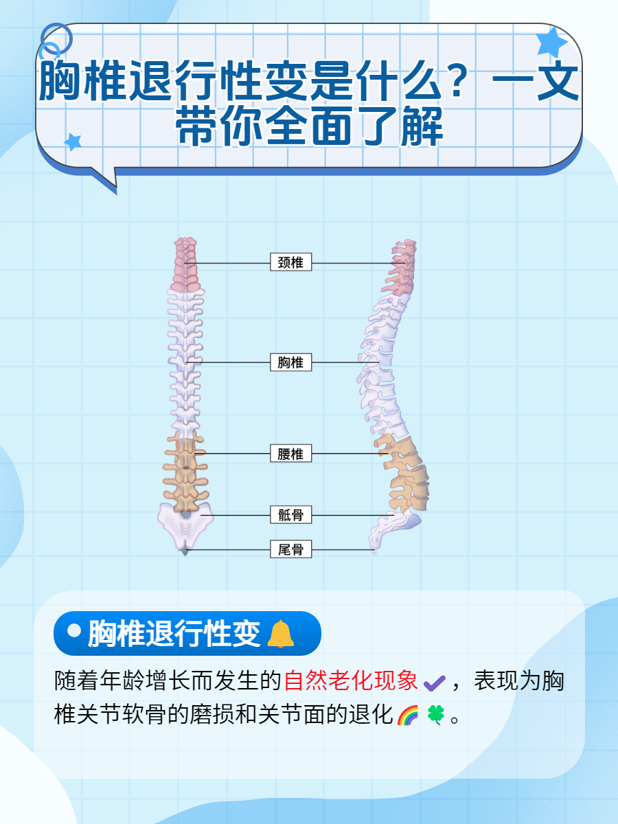 胸椎变形图片