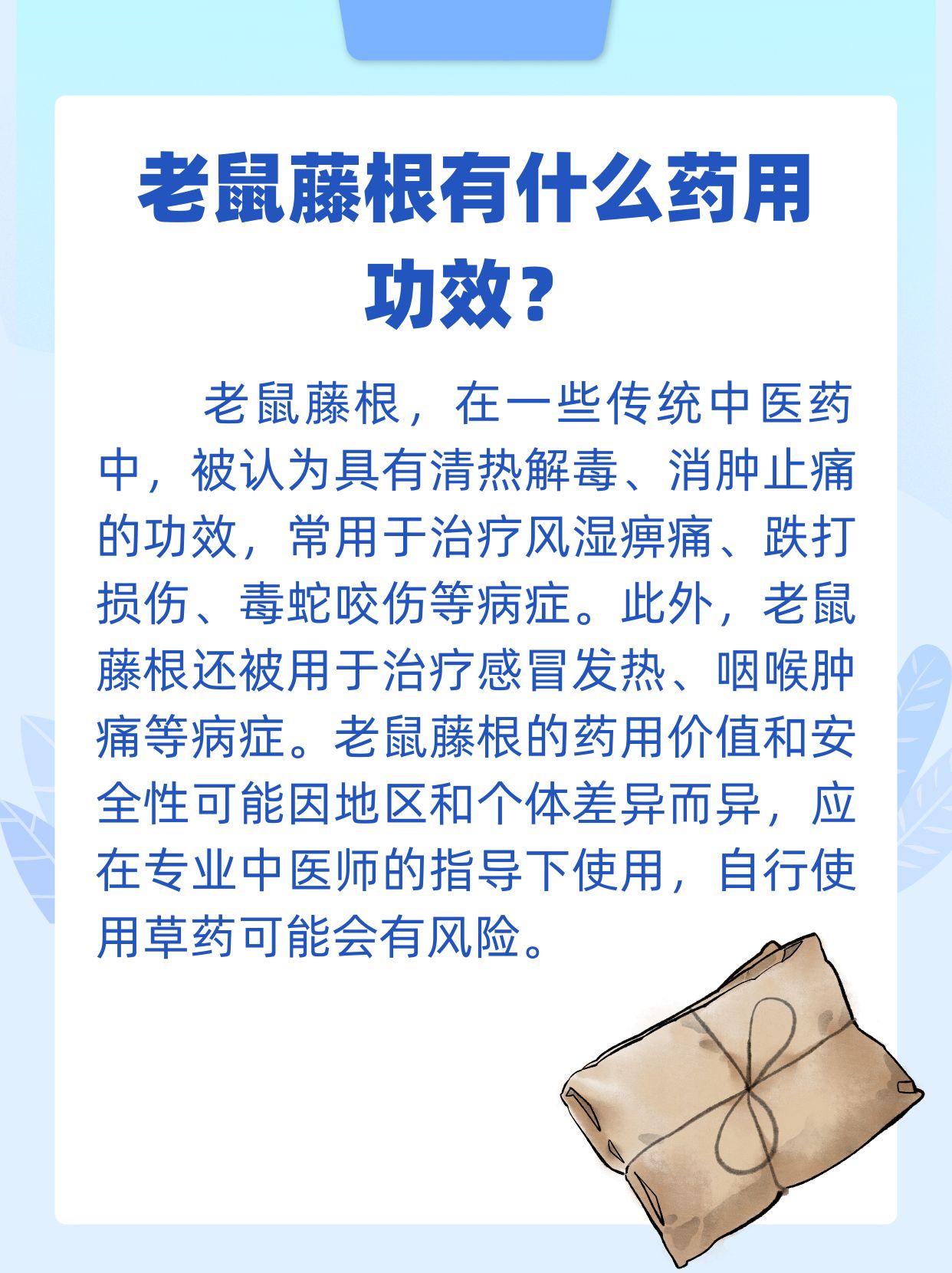 老鼠藤根,药用价值大揭秘!