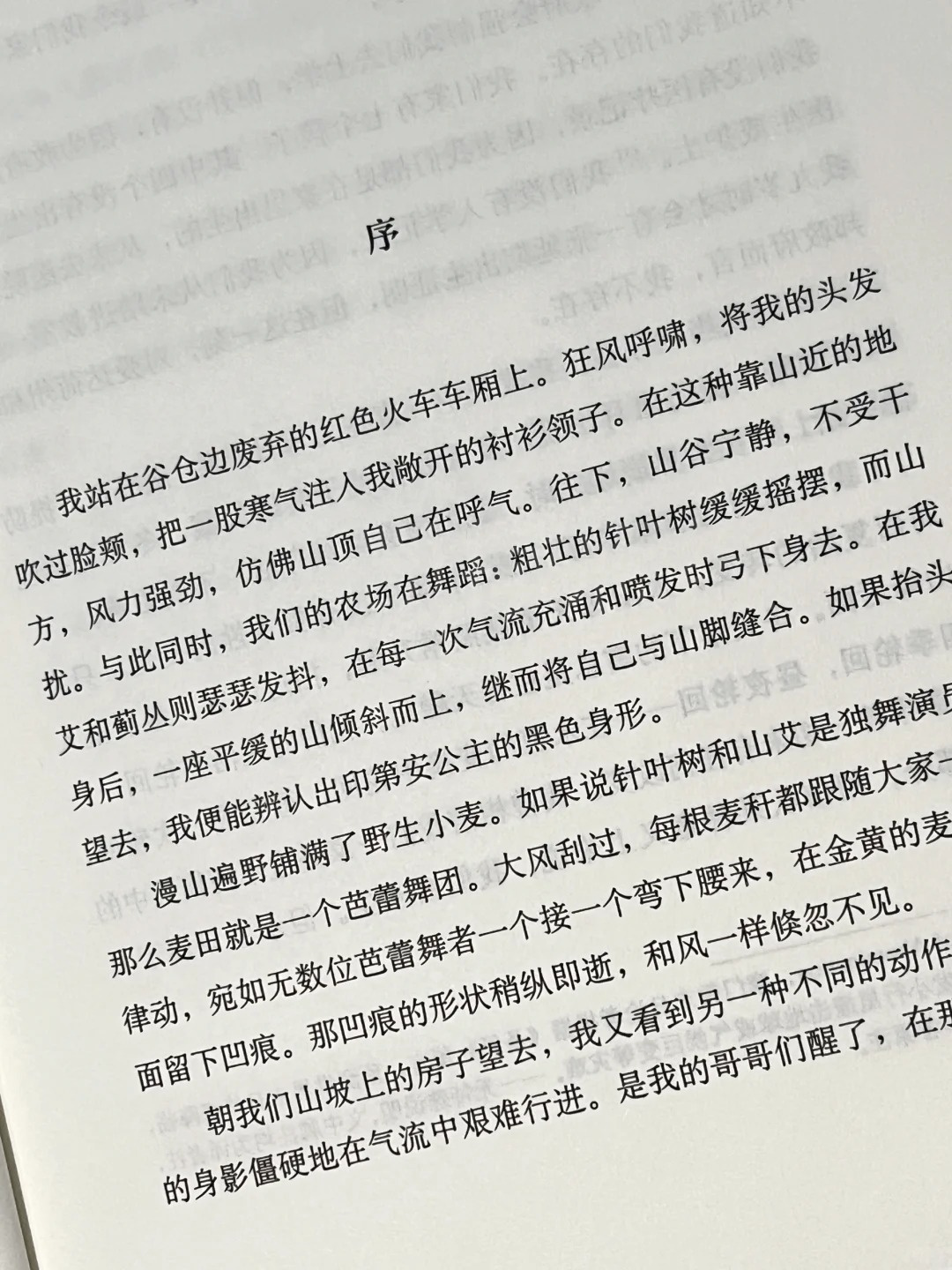 热点引擎计划 《你当像鸟飞往你的山》