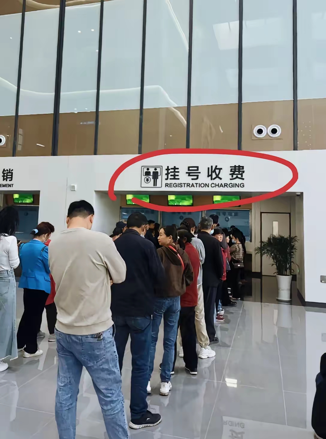 空军总医院、昌平区黄牛排队挂号，收取合理费用的简单介绍