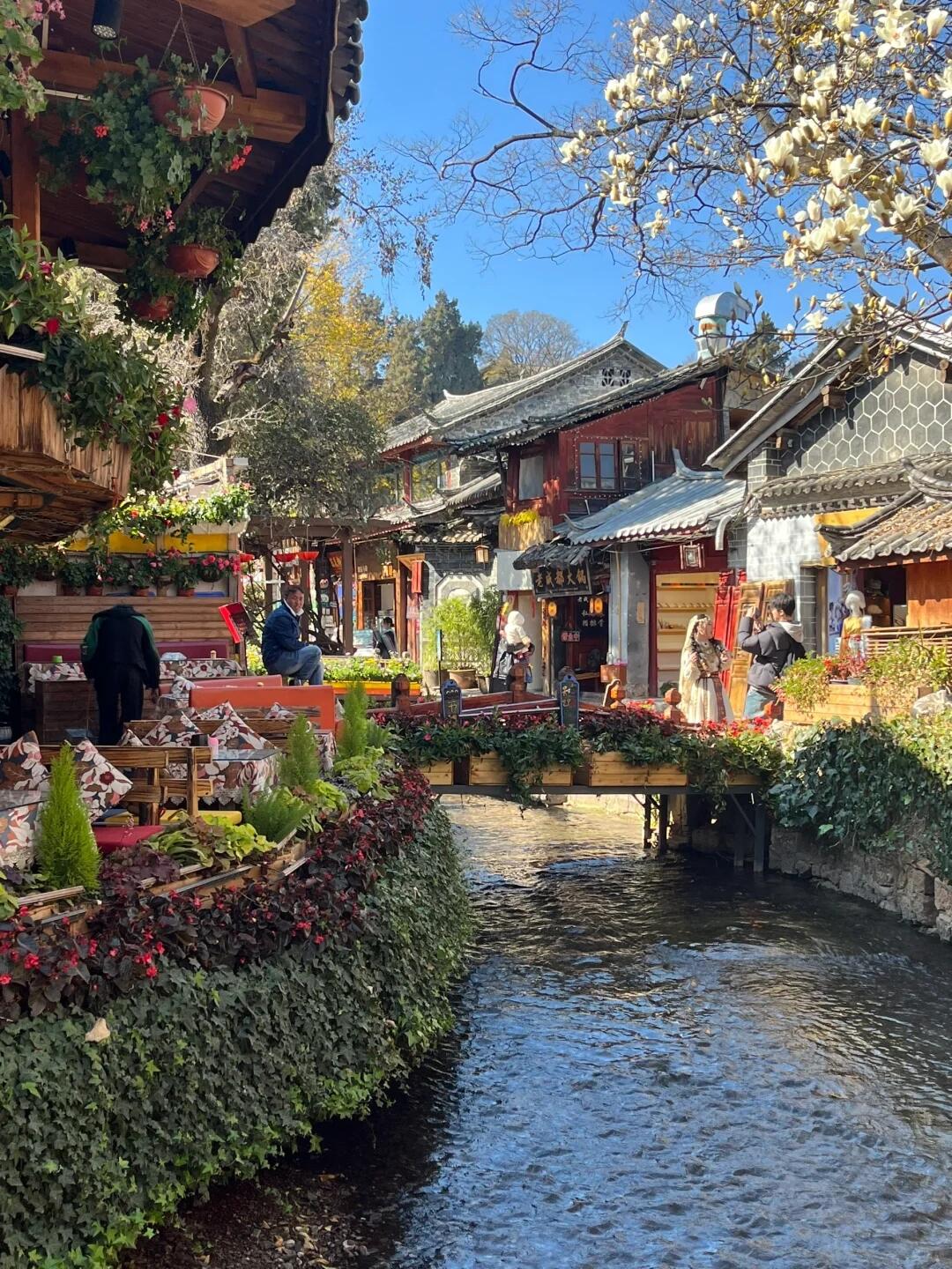 丽江回来了,一些我的真实建议