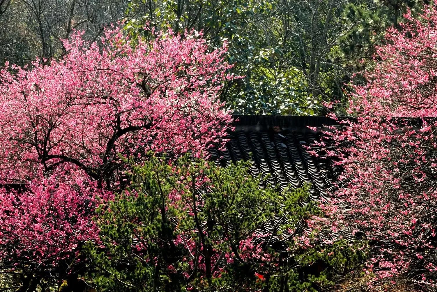 这年头谁家没遇到过亲戚开口借钱的事儿?