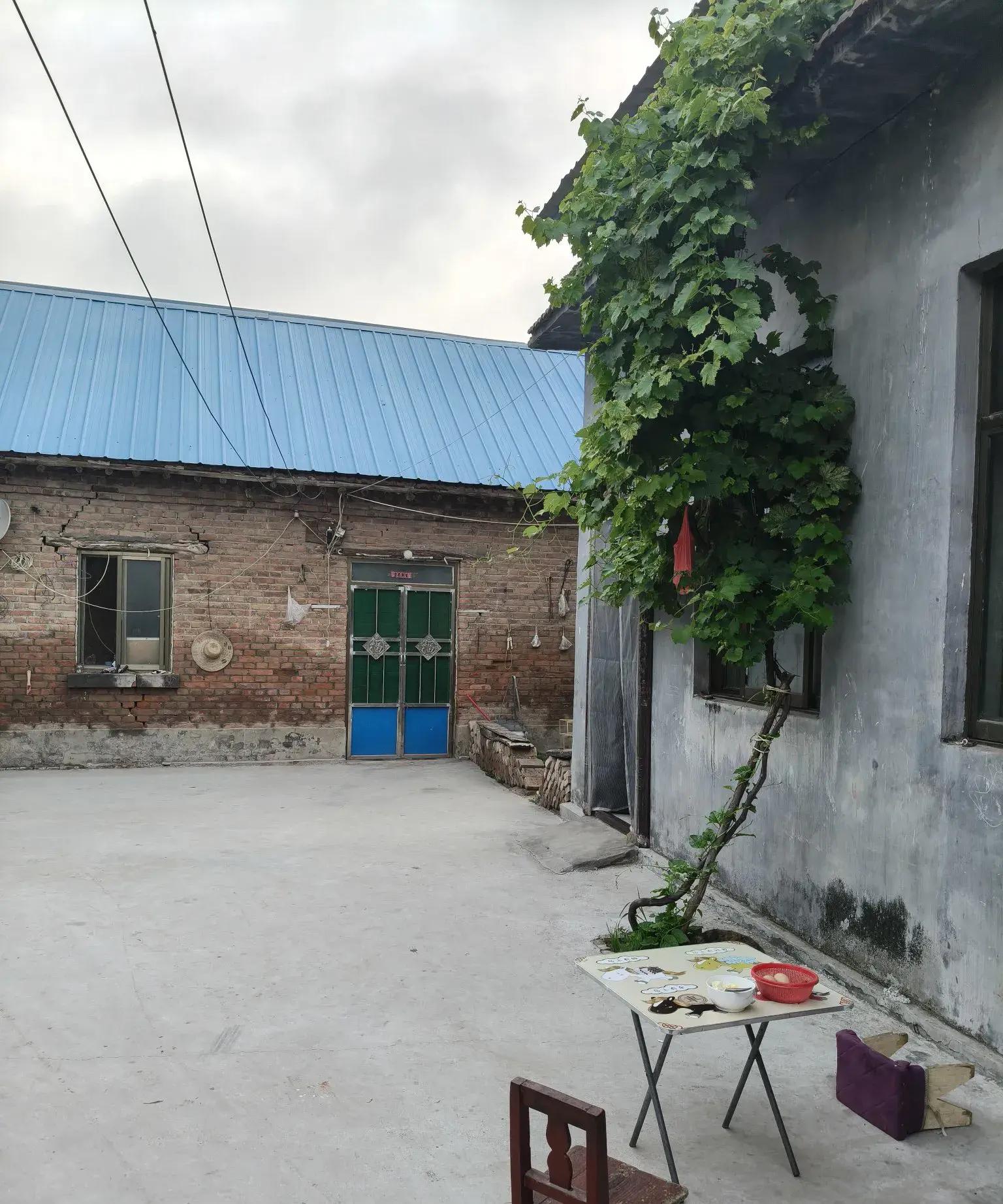 父亲想吃葱花面条,女儿要吃炒年糕,母亲想喝小米稀饭