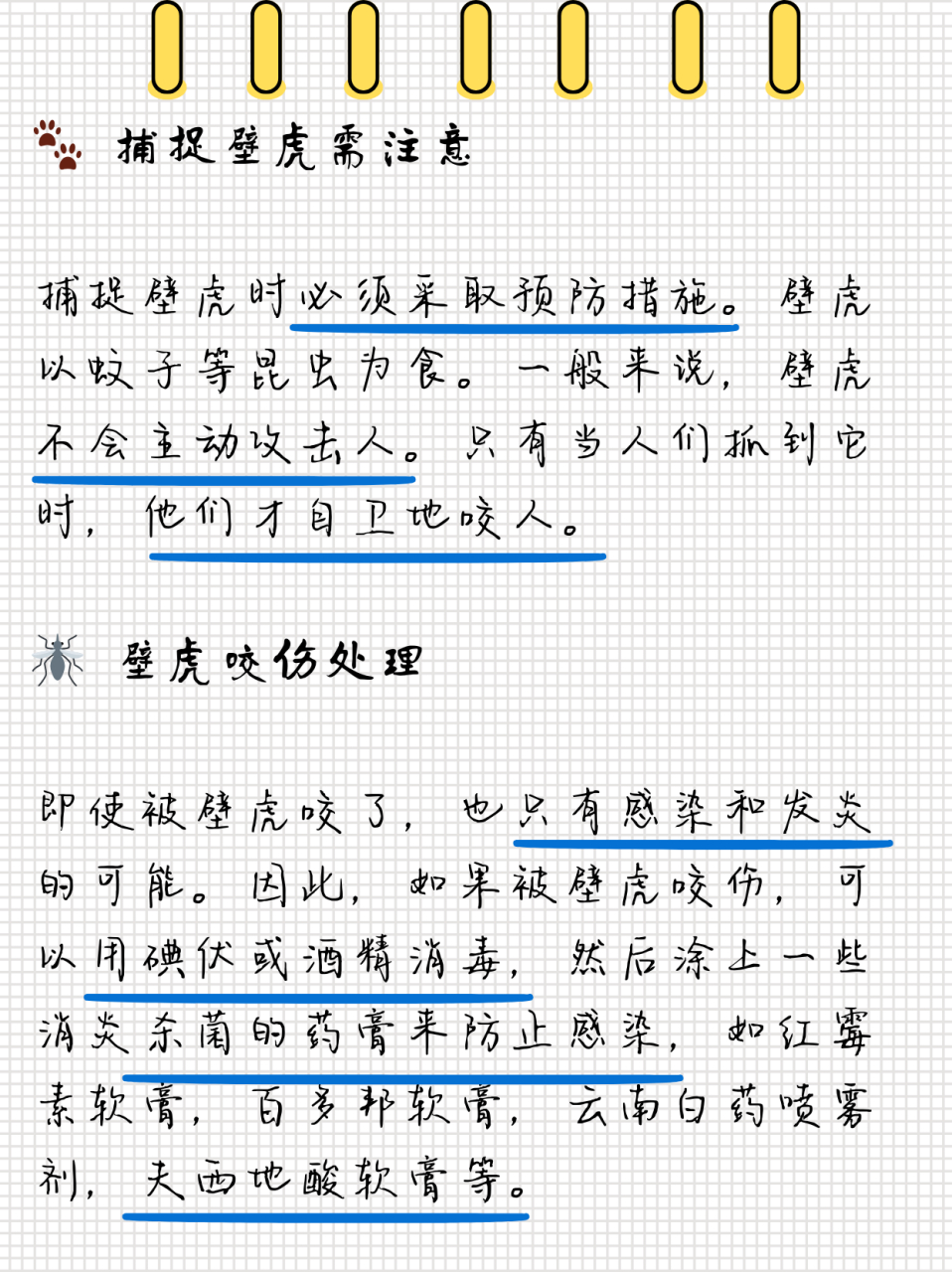 壁虎有毒吗?会咬人吗?解答你的疑惑!