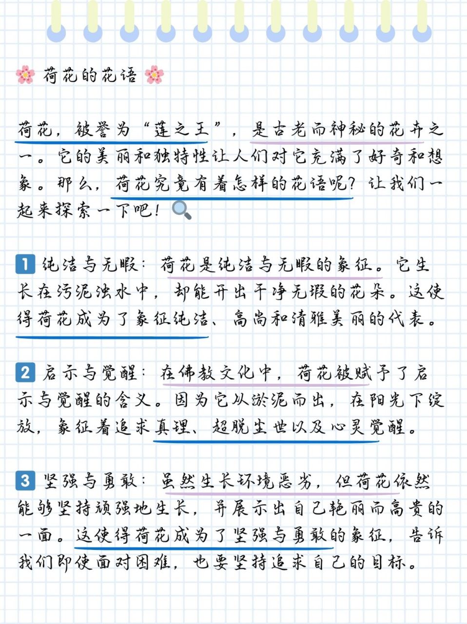 荷花的花语是啥?