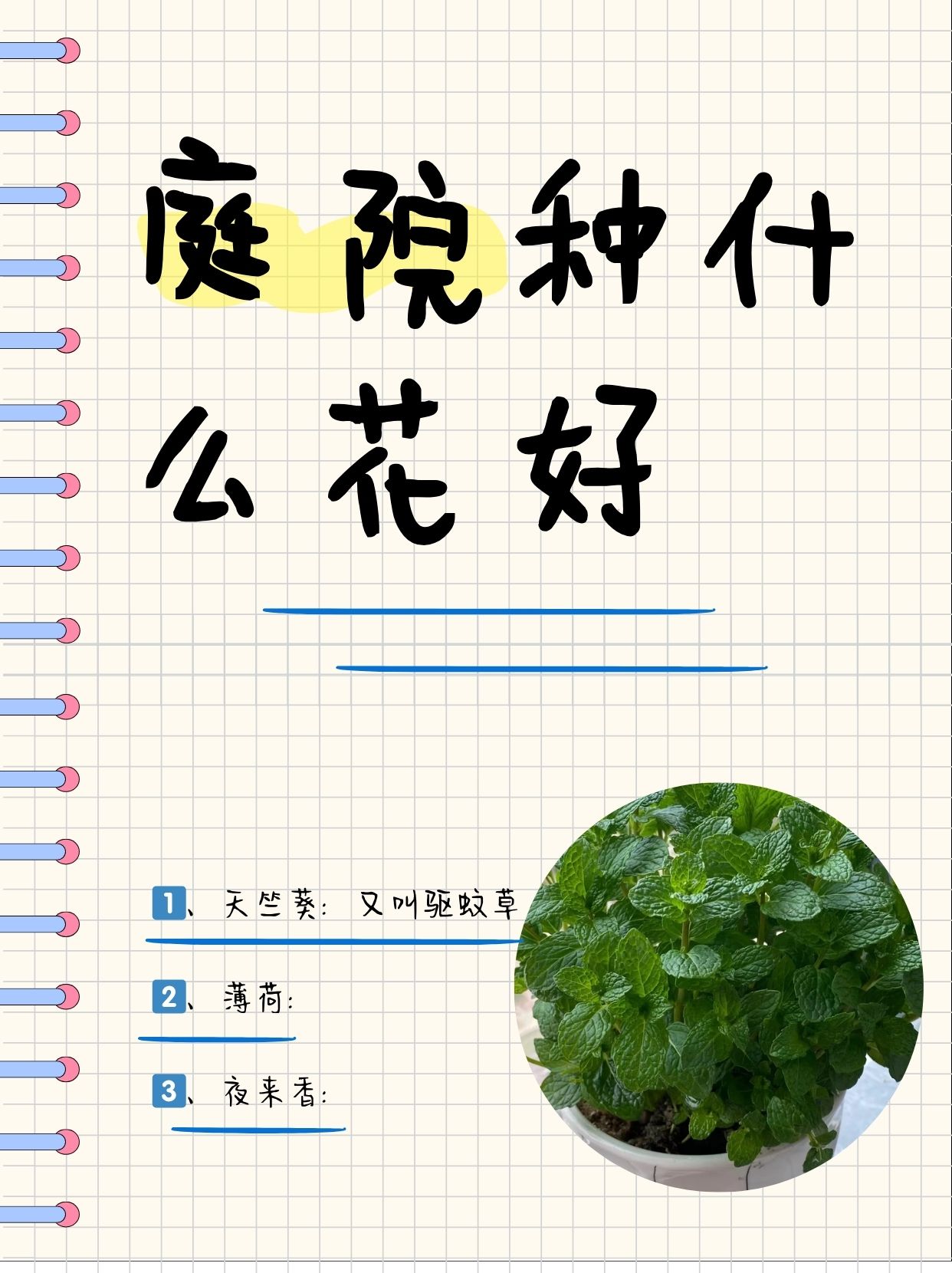 2 阳光下的守护者
