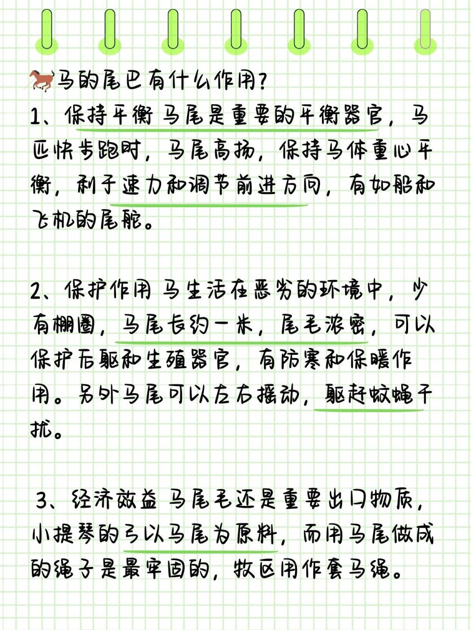 马的尾巴有什么用处  98马尾的多重功能揭秘 1,平衡调节器: 马尾