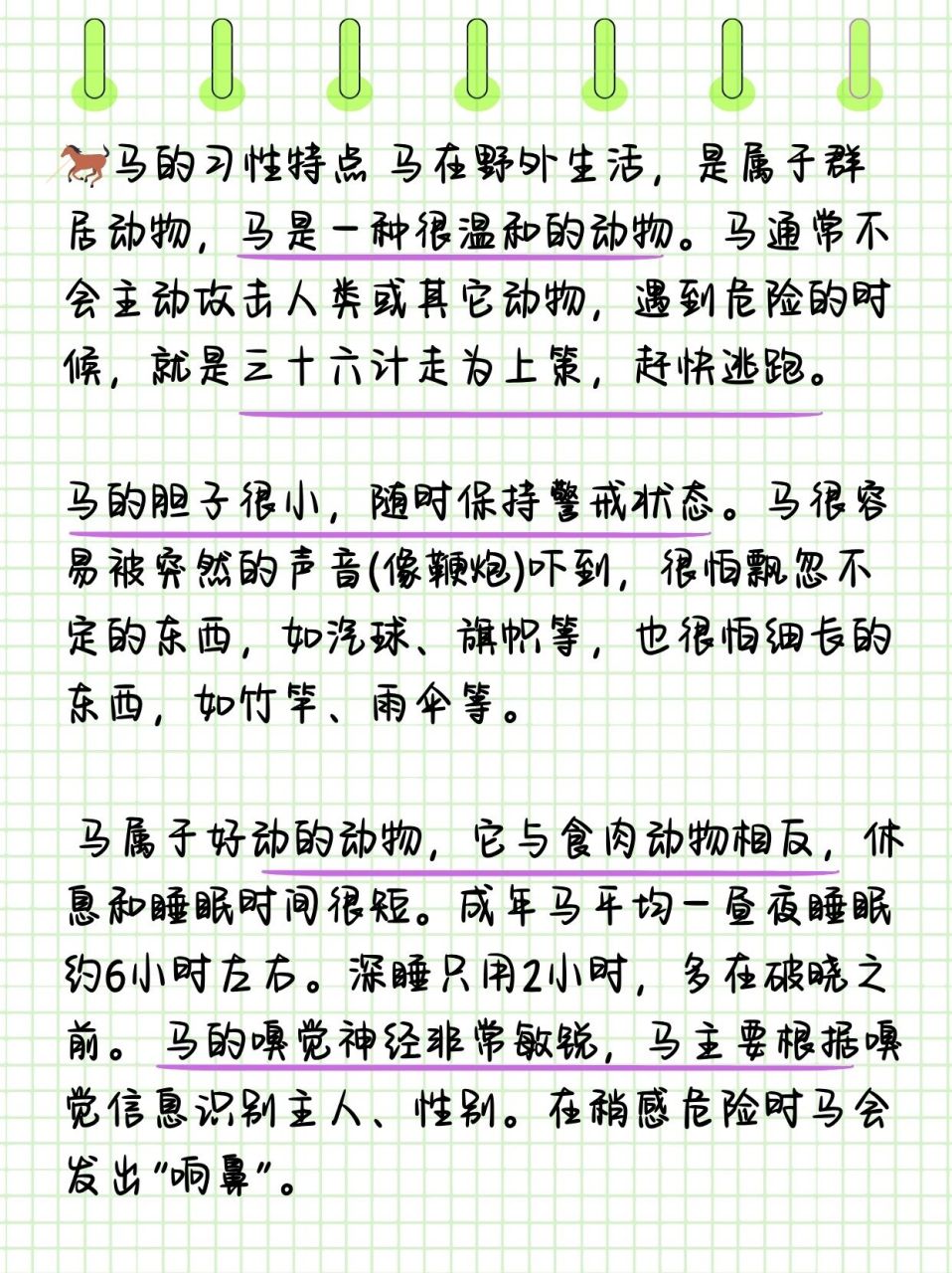 马的尾巴有什么用处  98马尾的多重功能揭秘 1,平衡调节器: 马尾
