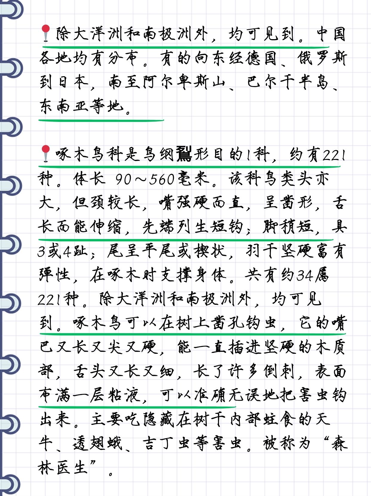 啄木鸟:飞行艺术家与森林守护者 精准操控飞行节奏,自如加速与减速