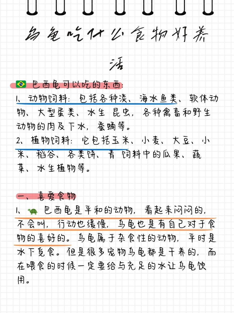 乌龟吃什么食物好养活  巴西龟的多样化食谱揭秘: 动物性美食:巴西龟