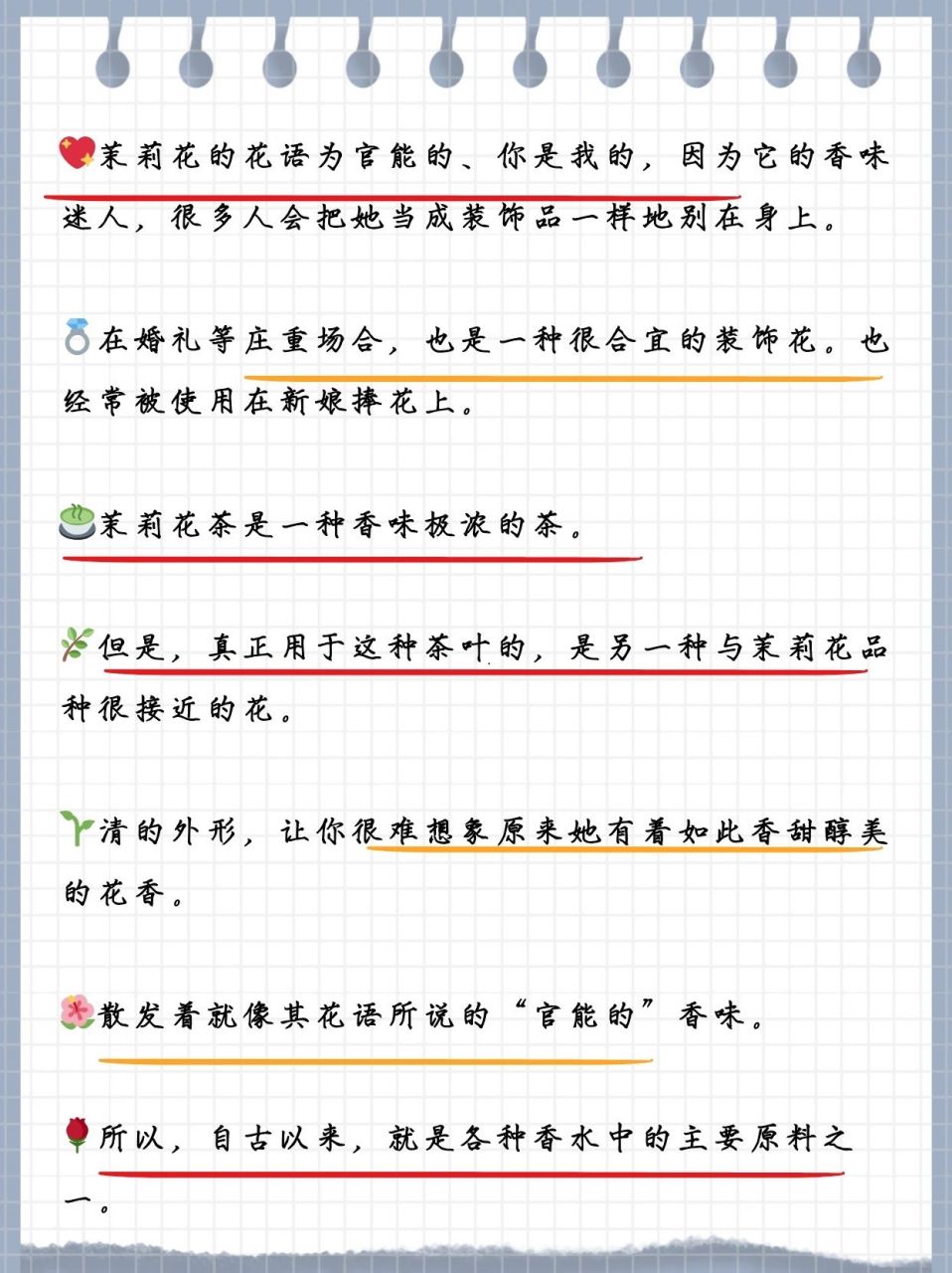 98茉莉芬芳解花语:纯洁,深情,清雅,恒久,寓意忠贞不渝,敬爱之心