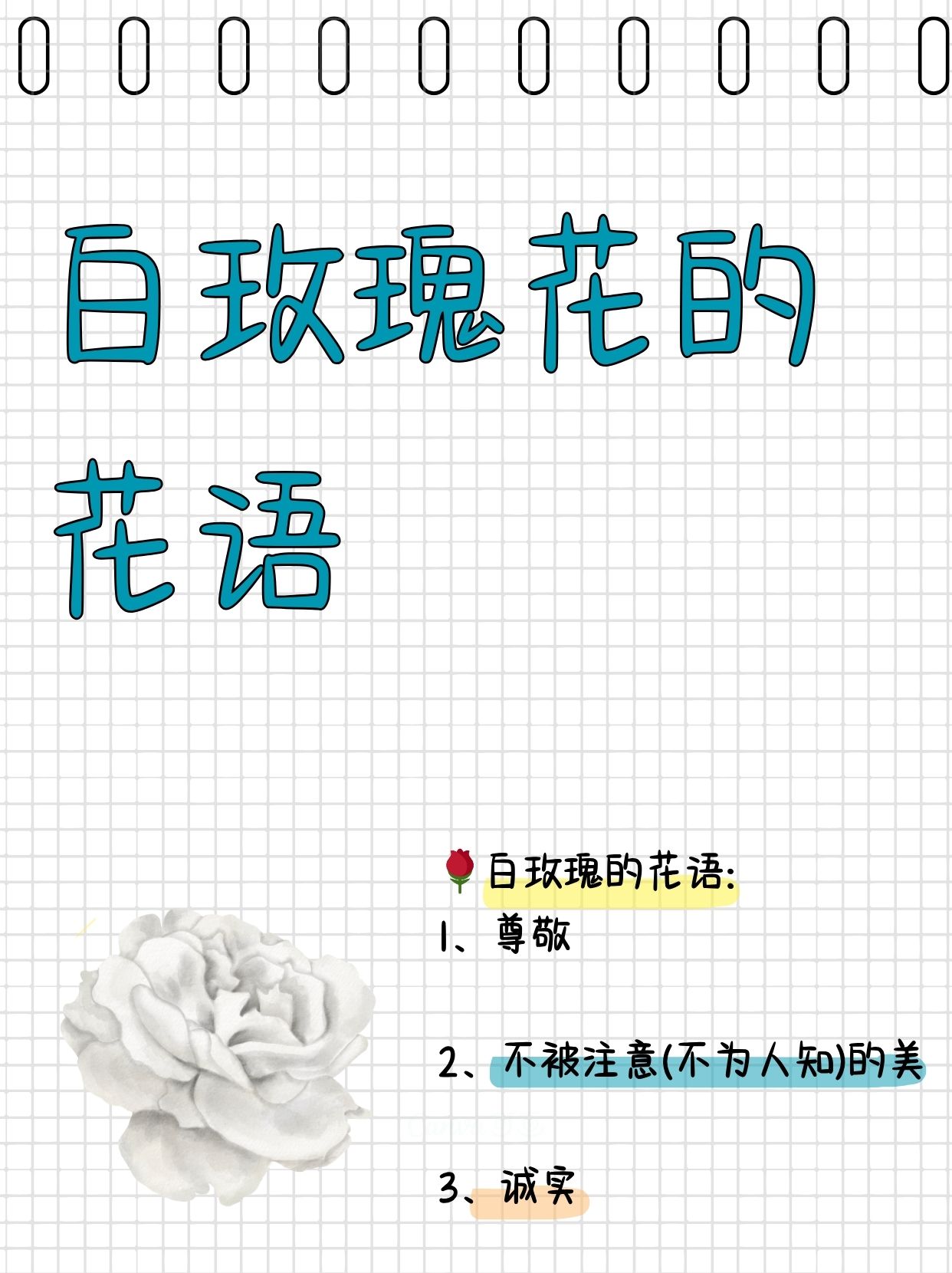 玫瑰花花语=玫瑰花花语和寓意是什么意思