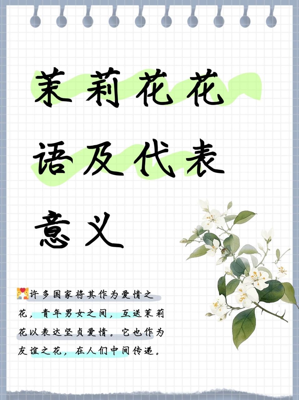 98茉莉芬芳解花语:纯洁,深情,清雅,恒久,寓意忠贞不渝,敬爱之心