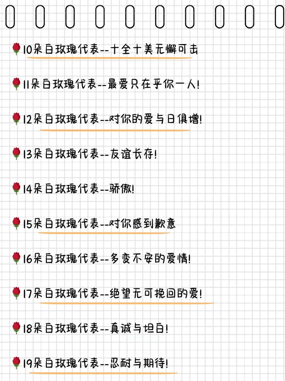 白玫瑰花的花语  94白玫瑰的寓意花园: 尊崇与敬仰 静谧之美,隐于世