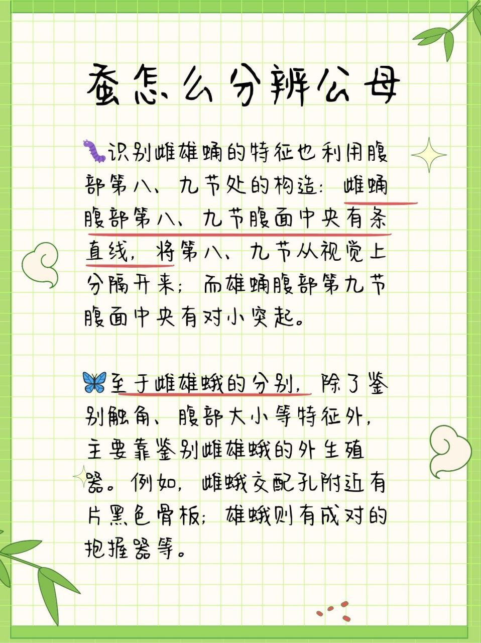 蚕怎么分辨公母  91在蚕宝宝的世界里,从蚕卵到蚕蛾,每一个生命阶段
