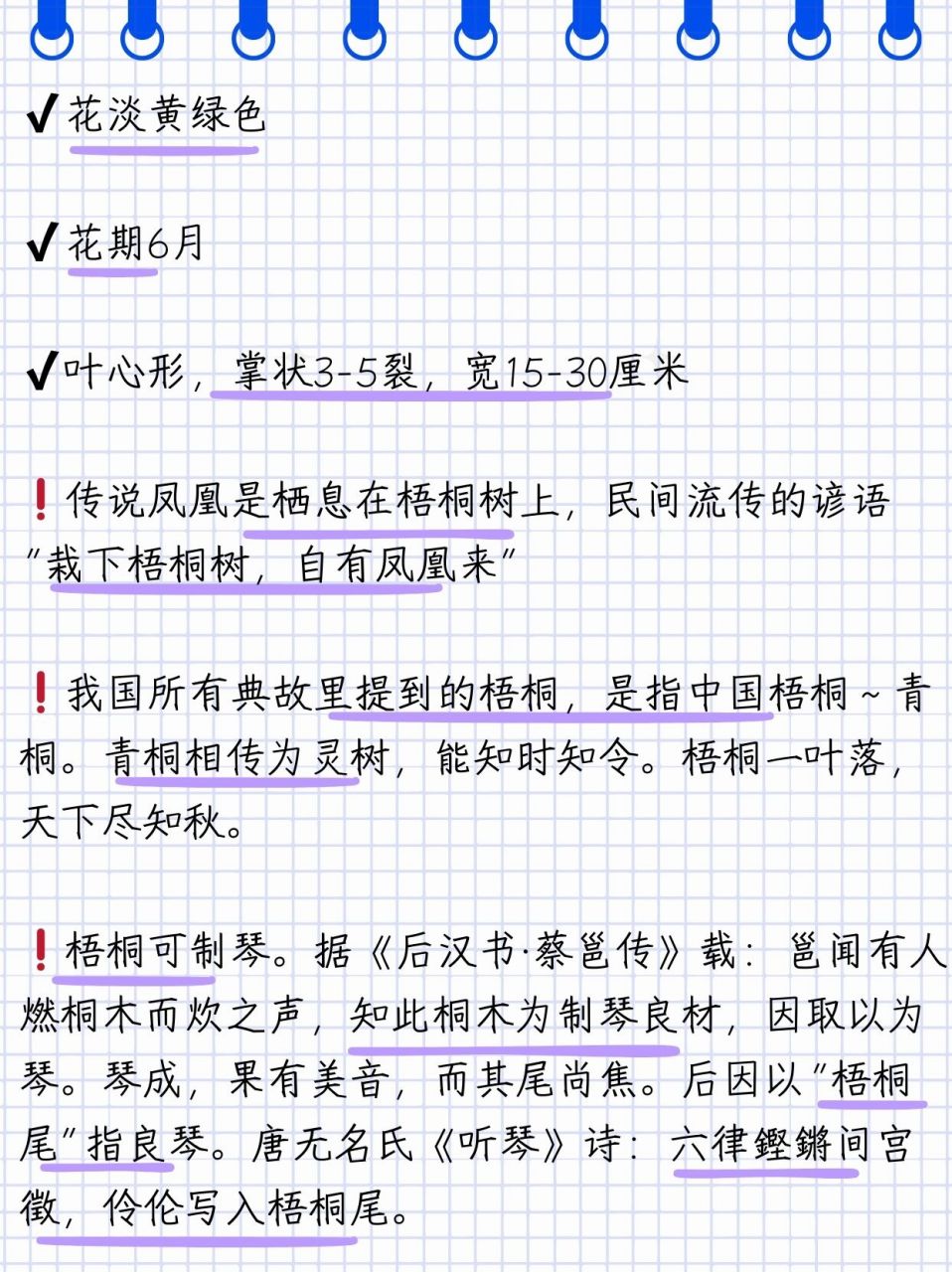 泡桐花和梧桐花的区别  11566遇见泡桐君  97哈喽,我是泡桐