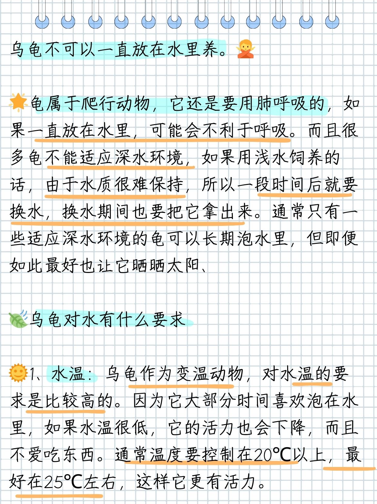 乌龟身为爬行家族的一员,仍需依赖肺部呼吸,长时间浸水或影响其畅快