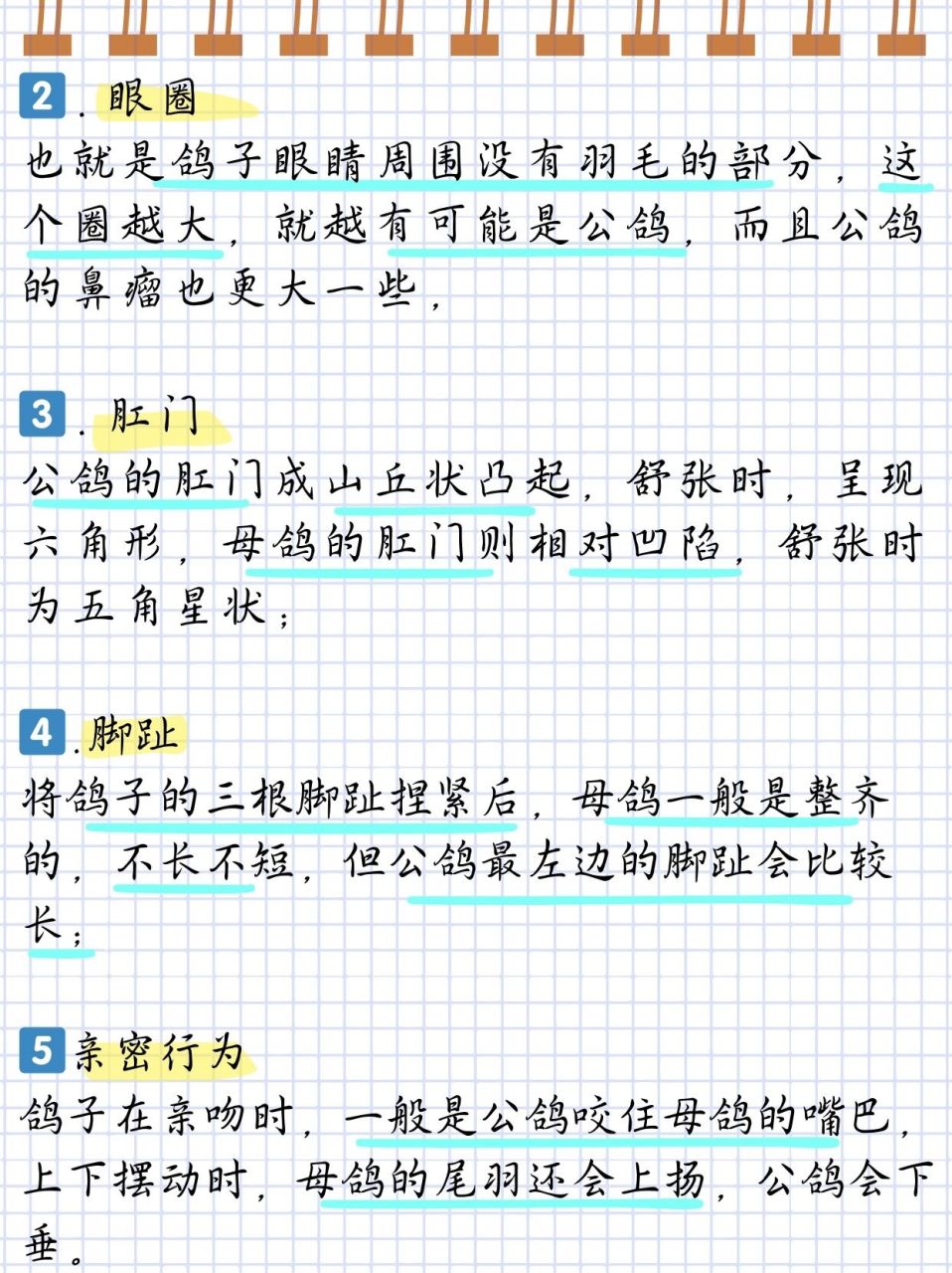 鸽子怎么辨认公母的简单方法  9415 揭秘!如何慧眼识"鸽"分公母?