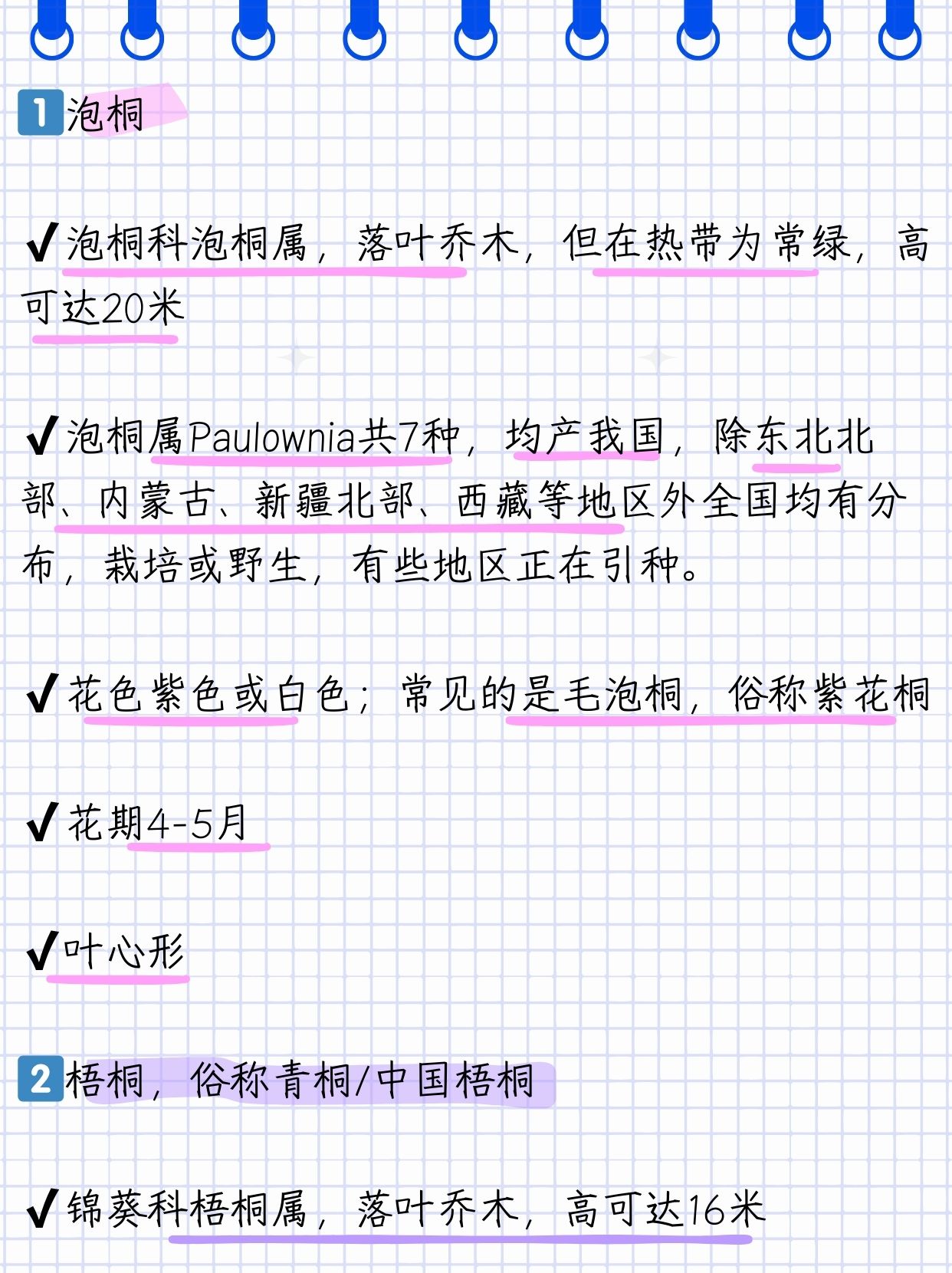 泡桐花和梧桐花的区别  1遇见泡桐君  哈喽,我是泡桐,来自泡桐科泡桐