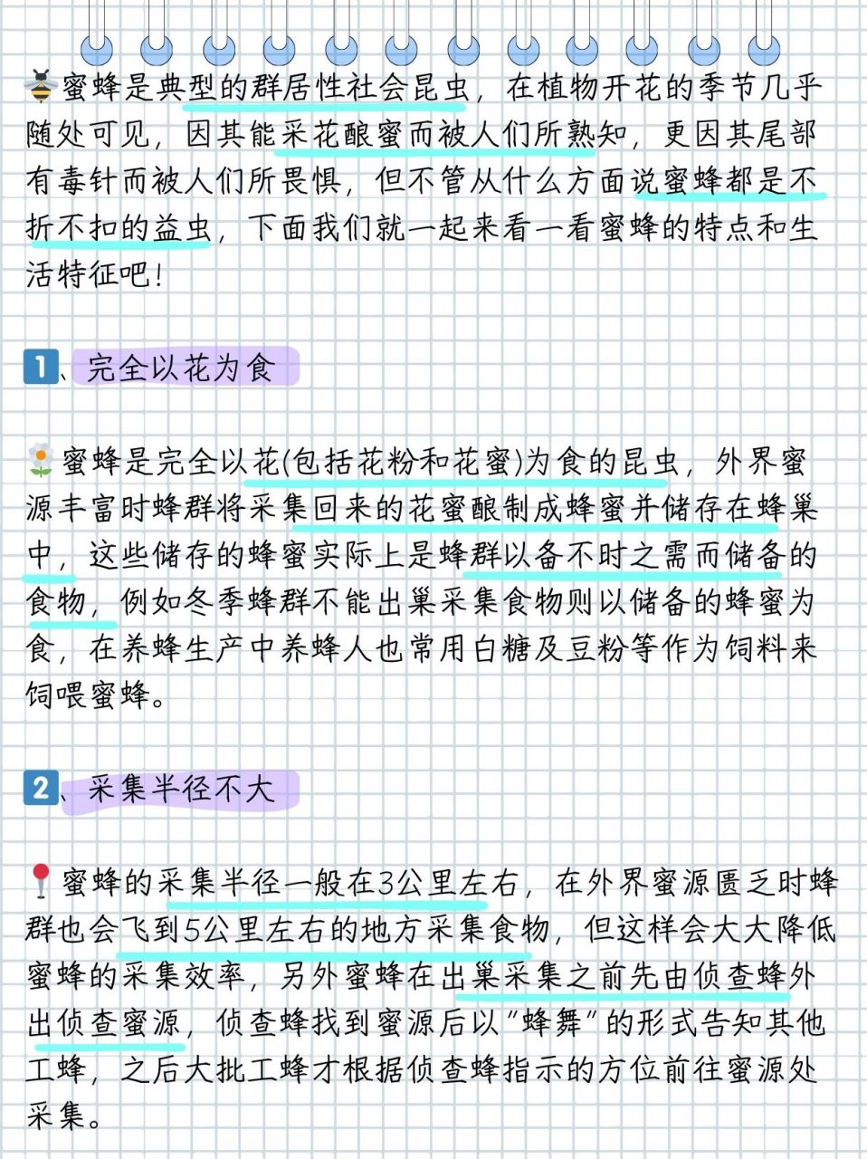 蜜蜂有哪些特点和生活习性  93小蜜蜂,甜蜜的小建筑师,它们在花开的