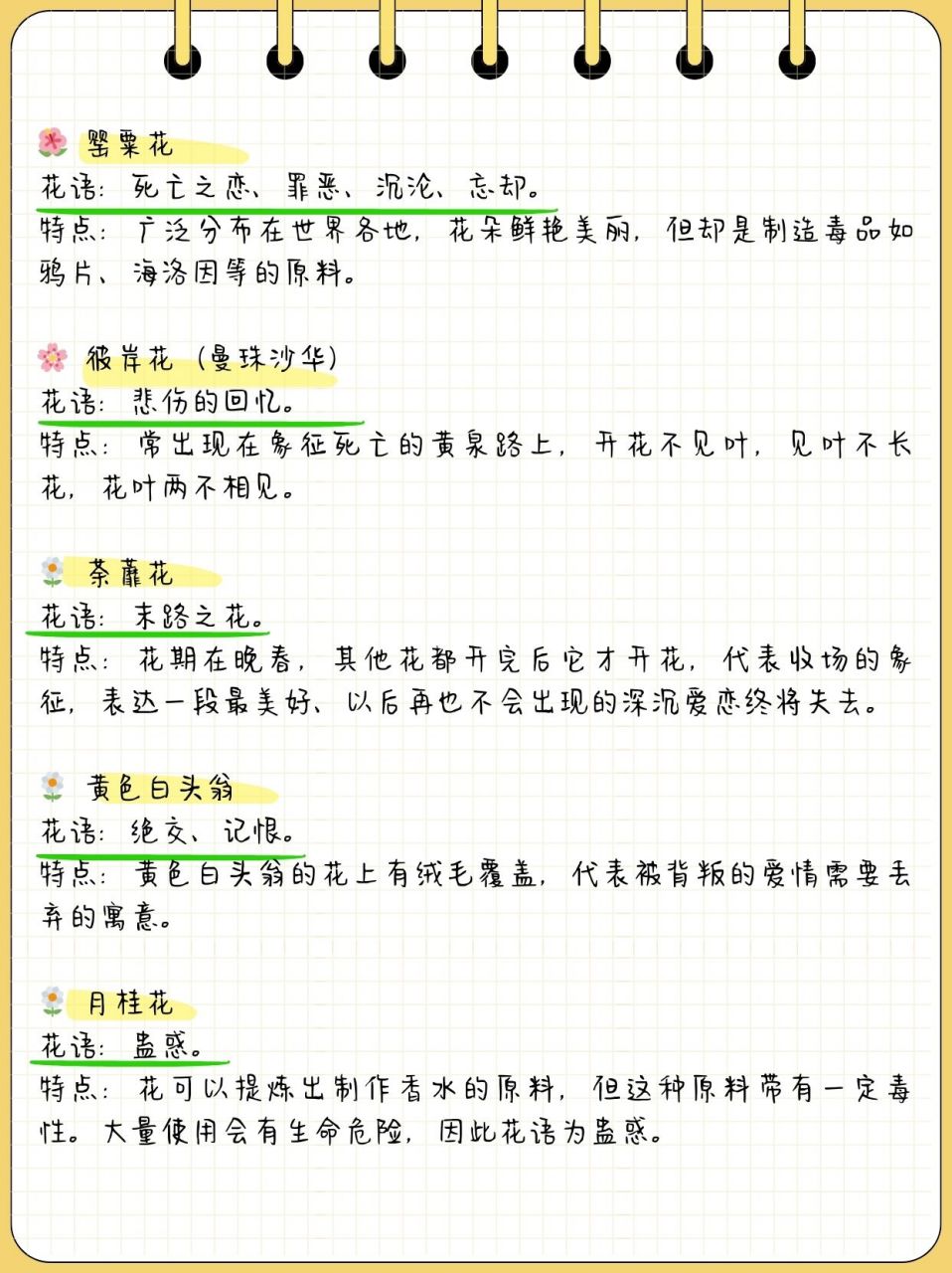 十大花语最黑暗的花  94 幽暗曼陀罗: 花语:复仇之舞,无间情深与