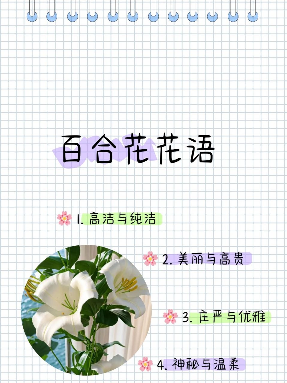 百合花花语  94 百合花语,绽放高洁与纯净之光 94 高洁之韵:百合