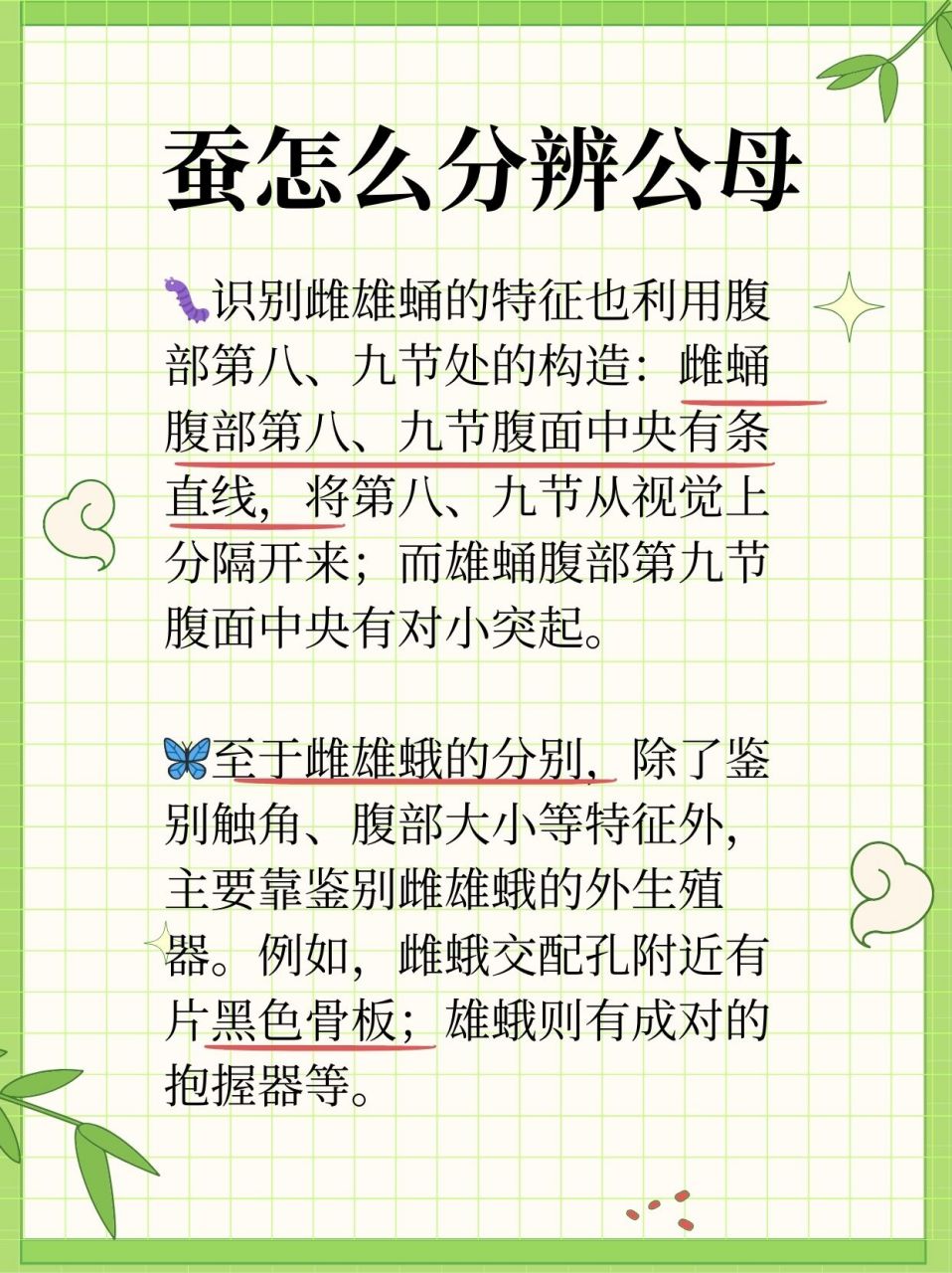 蚕怎么分辨公母  91在蚕宝宝的世界里,从蚕卵到蚕蛾,每一个生命阶段