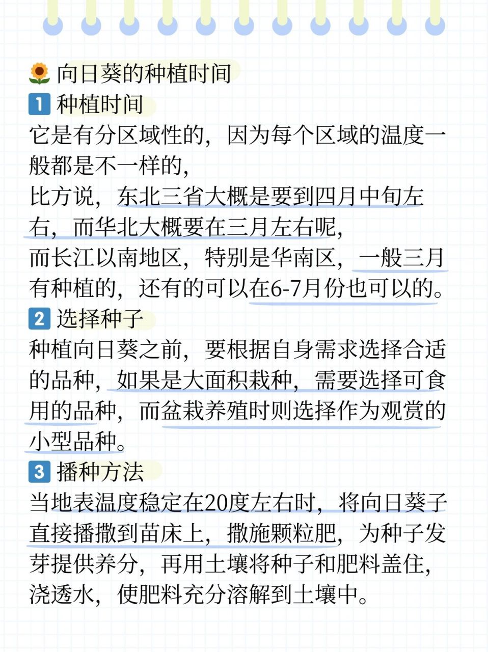 东北三省的小伙伴们,得等到温柔的四月中旬,给向日葵一个温暖的拥抱