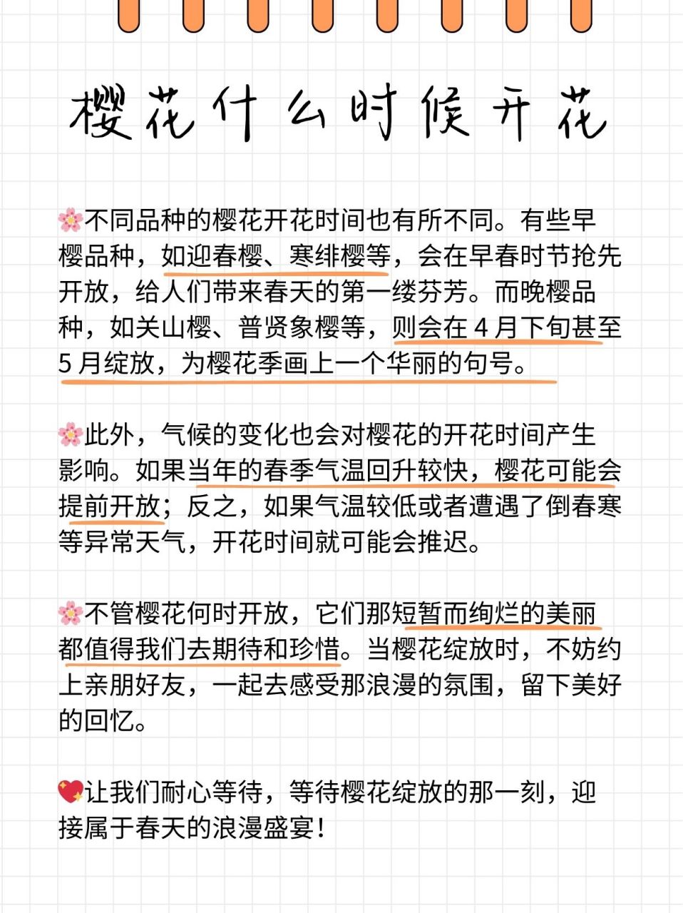 你是不是也特别想知道樱花啥时候会盛开呀?来,咱们一起找找答案!